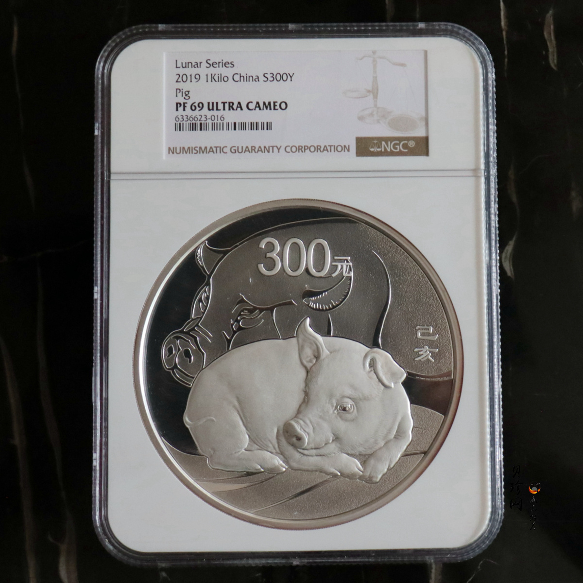 【194712】2019年中国己亥（猪）年金银纪念币1公斤圆形银币