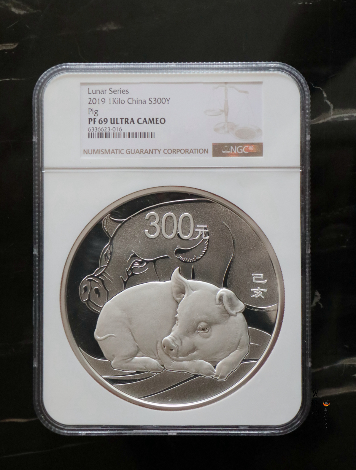【194712】2019年中国己亥（猪）年金银纪念币1公斤圆形银币
