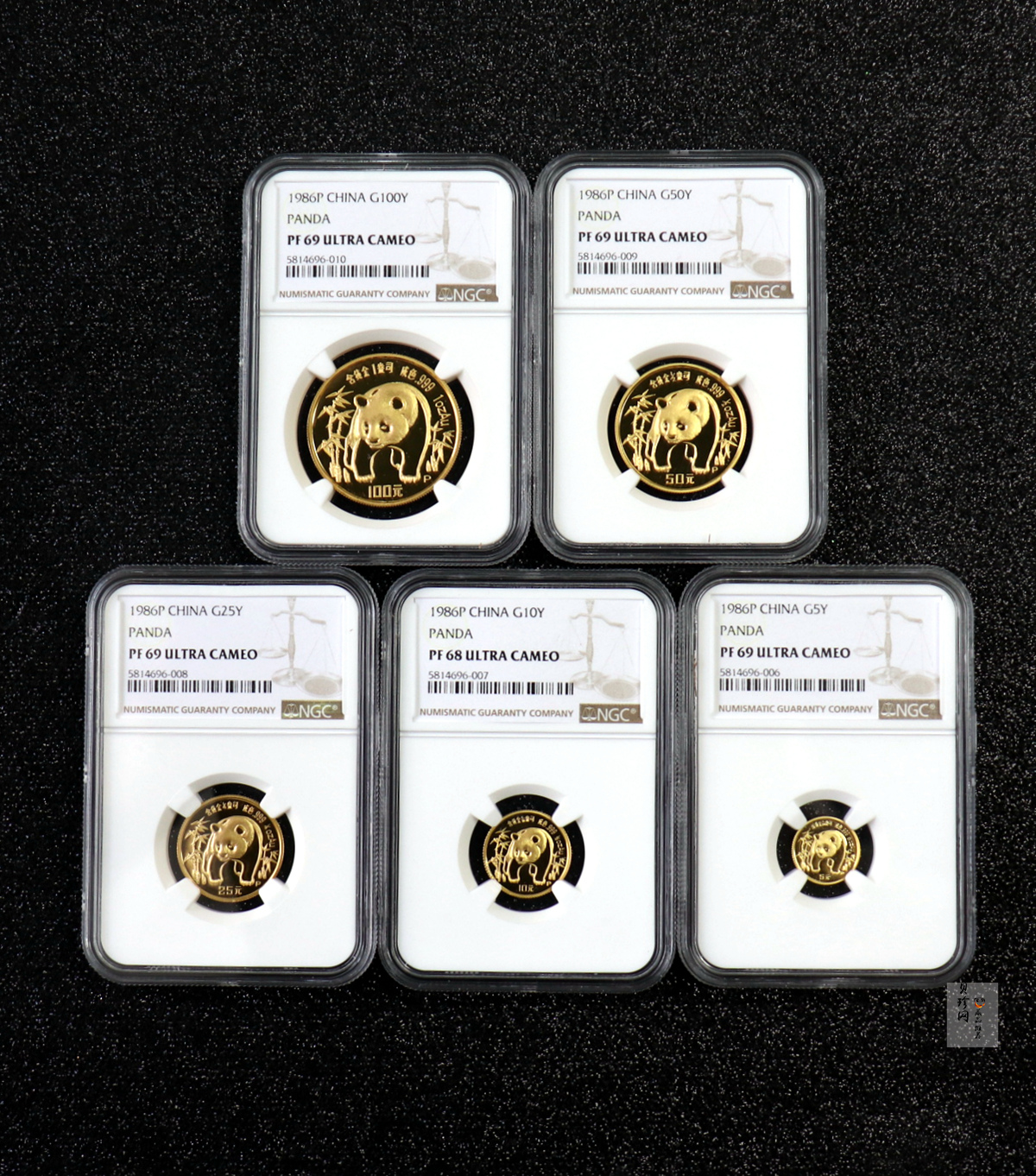 【869020】1986年熊猫精制金币五枚一套
