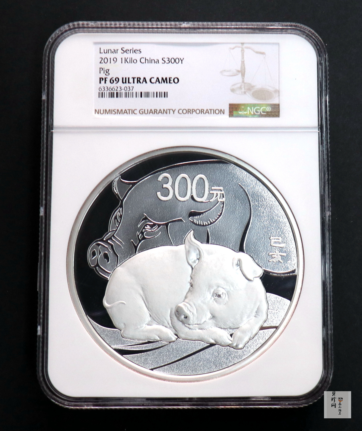 【191121】2019中国己亥（猪）年金银纪念币1公斤圆形银质纪念币