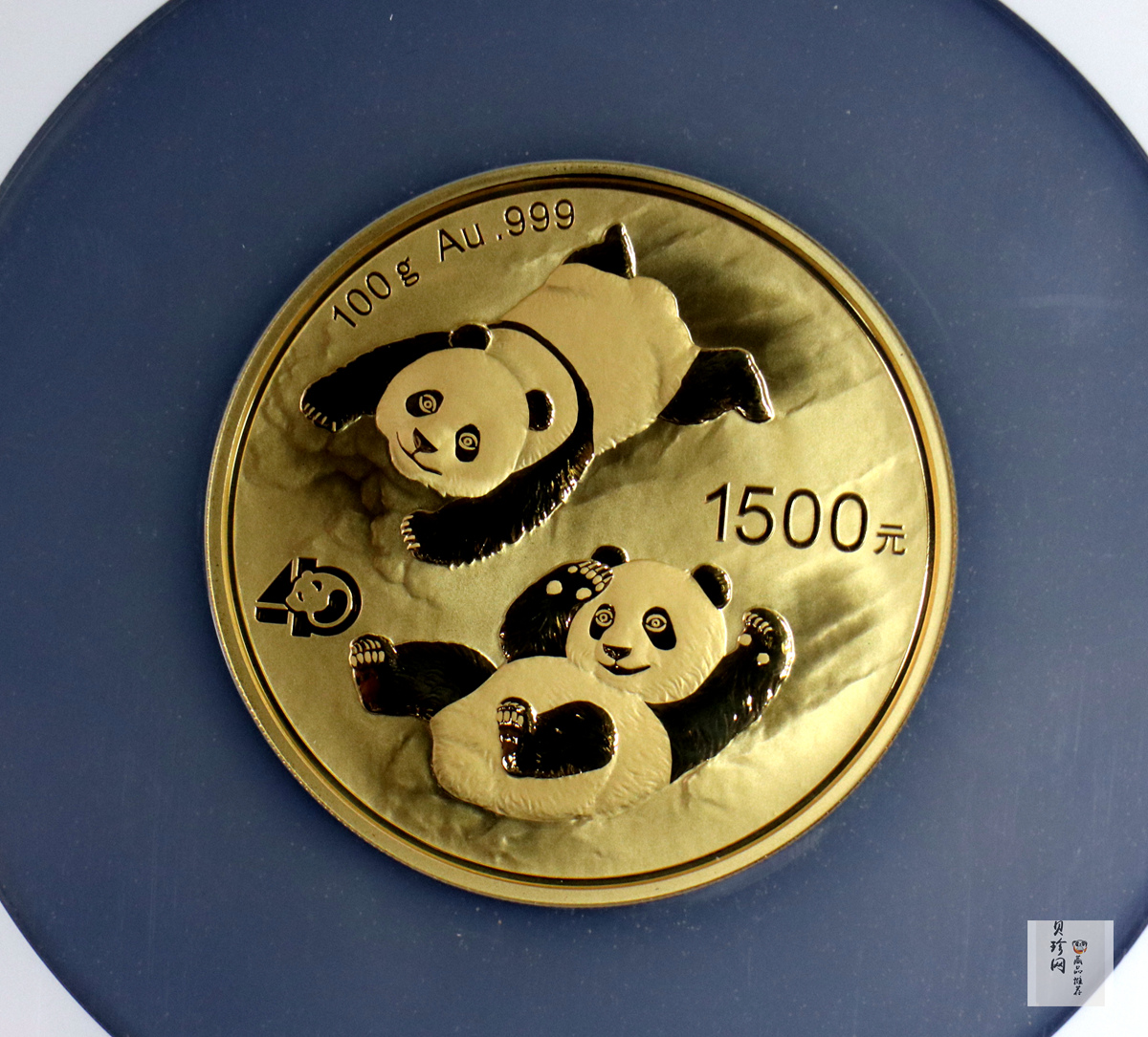【220103】2022年熊猫100克精制金币