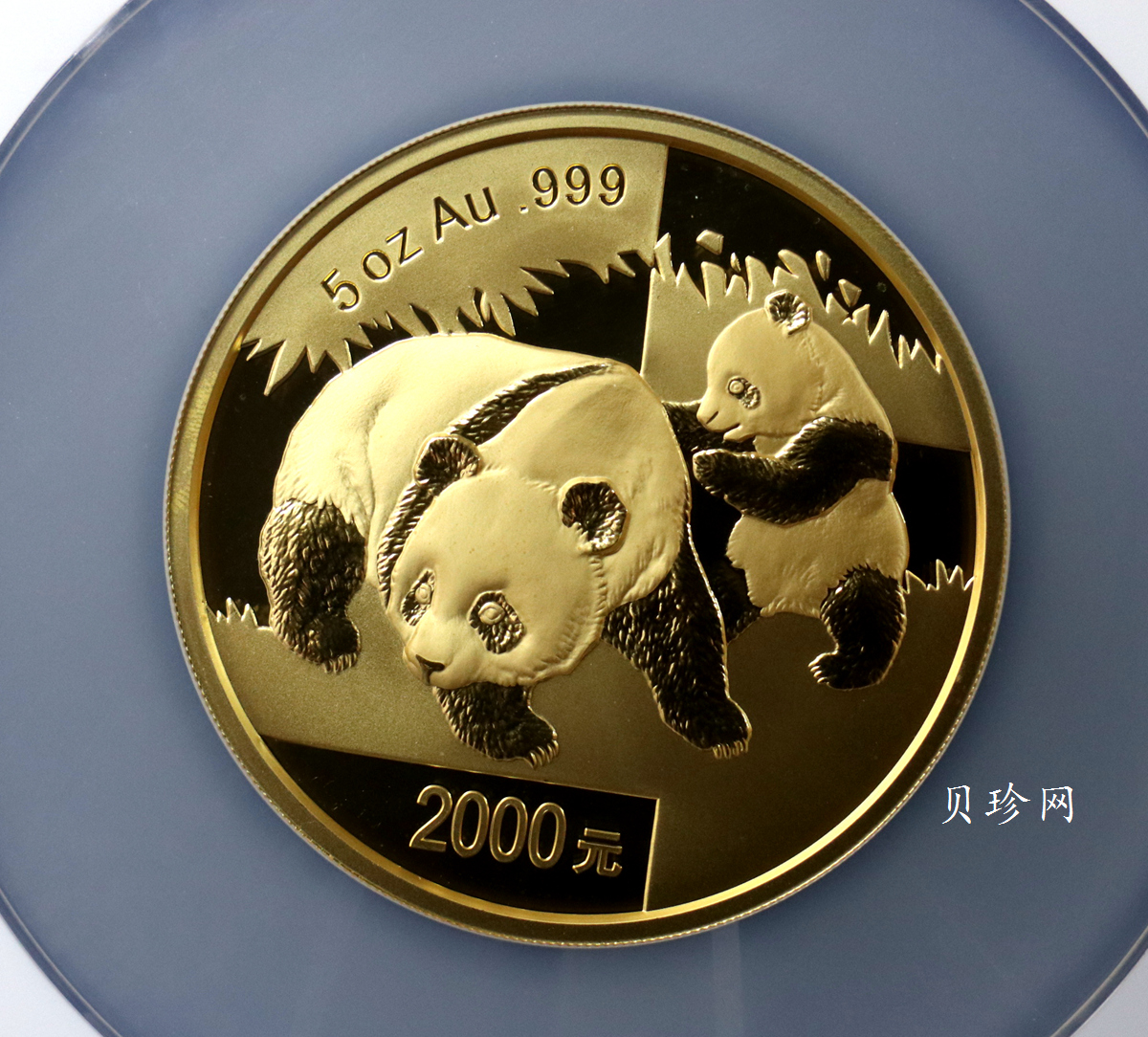 【080107】2008年熊猫5盎司精制金币