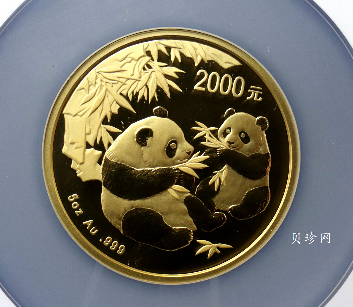 【060107】2006年熊猫5盎司精制金币