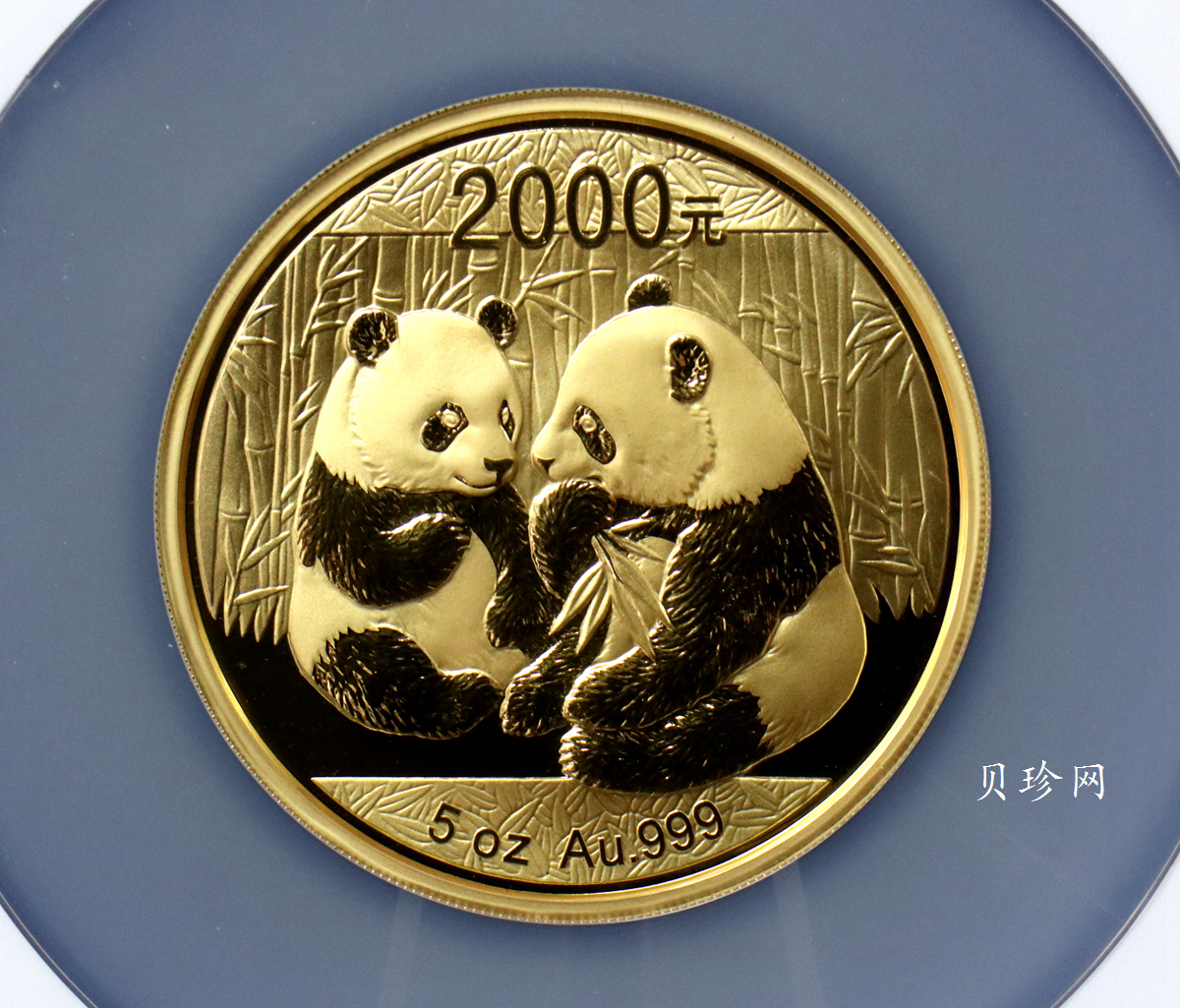 【090106】2009年熊猫5盎司金币