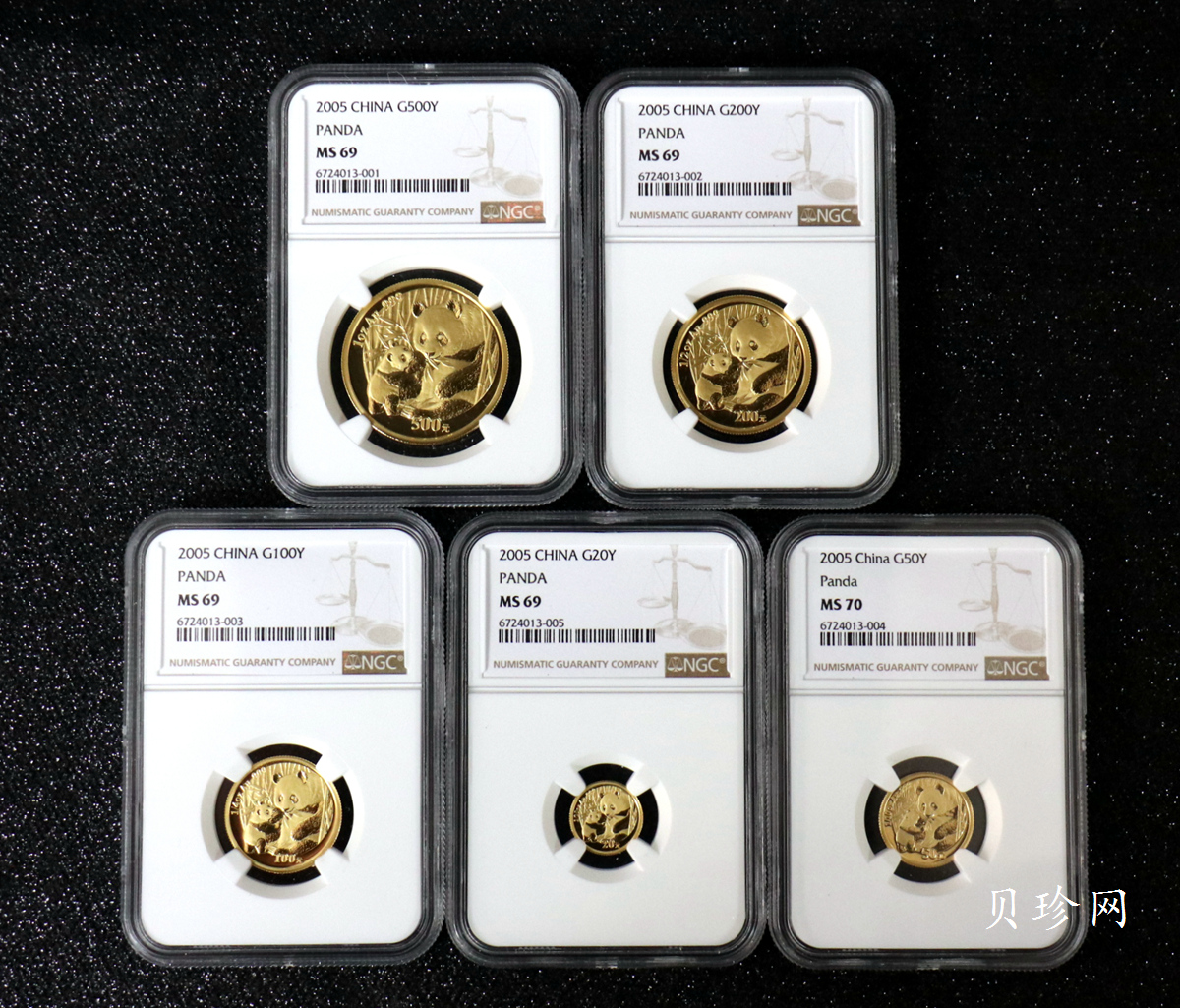 【059040】2005年熊猫普制金币5枚一套