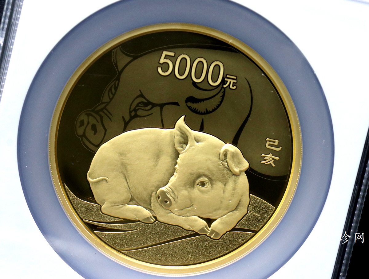【191120】2019中国己亥（猪）年金银纪念币500克圆形金币