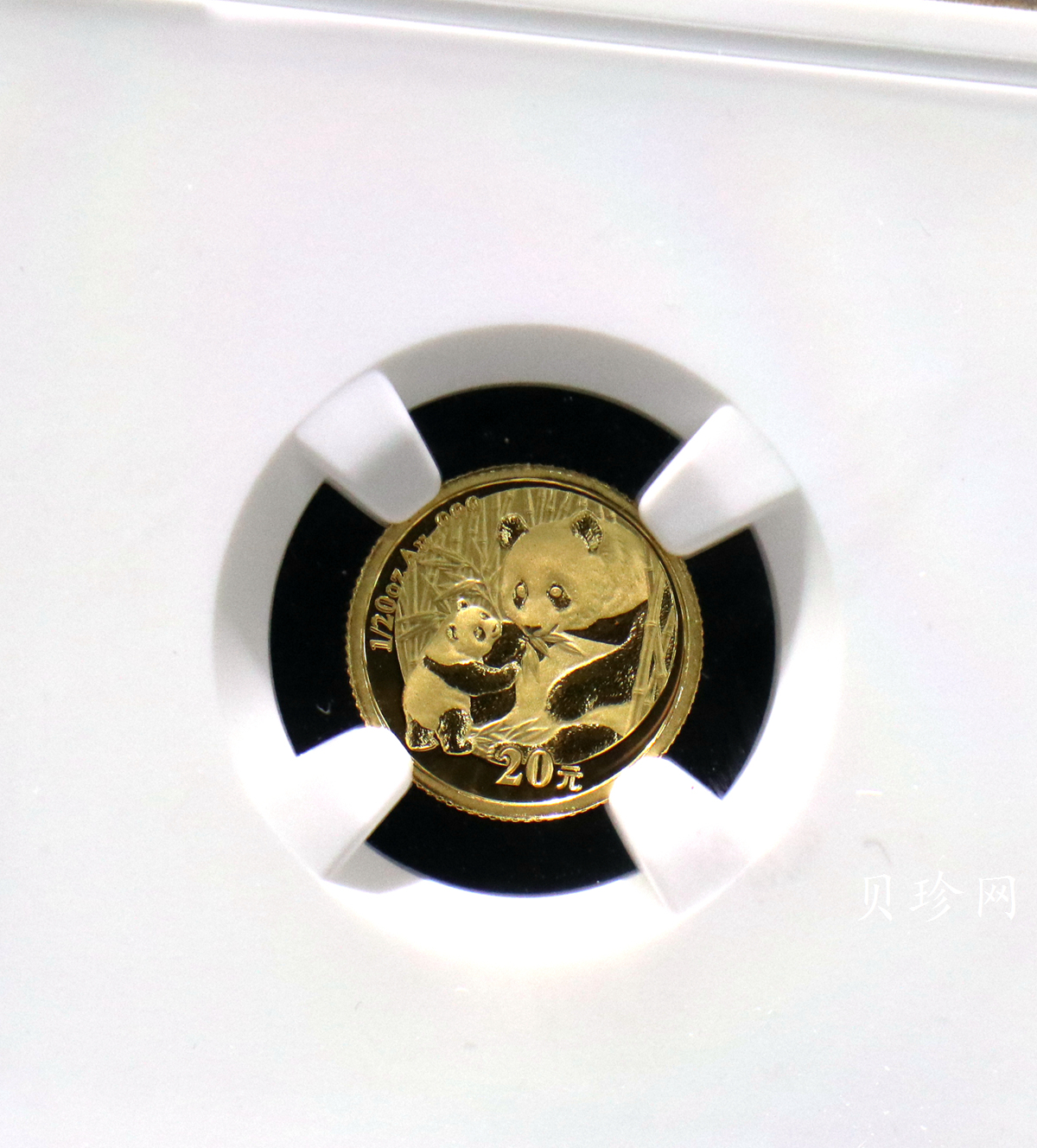 【050105】2005年熊猫1/20盎司普制金币