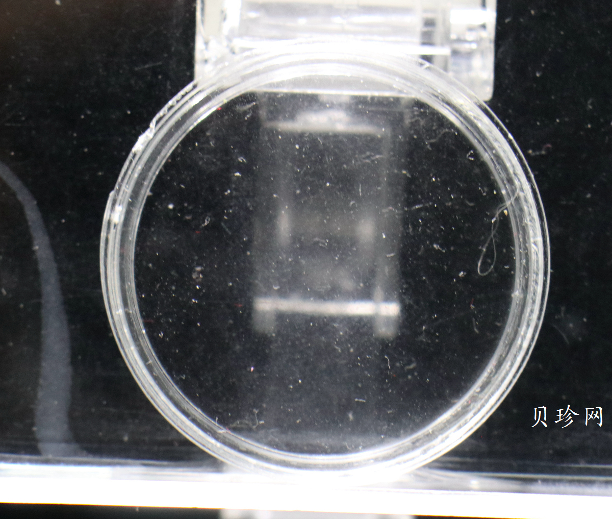 【950910】1995年观音-莲花观音1/2盎司精制银币