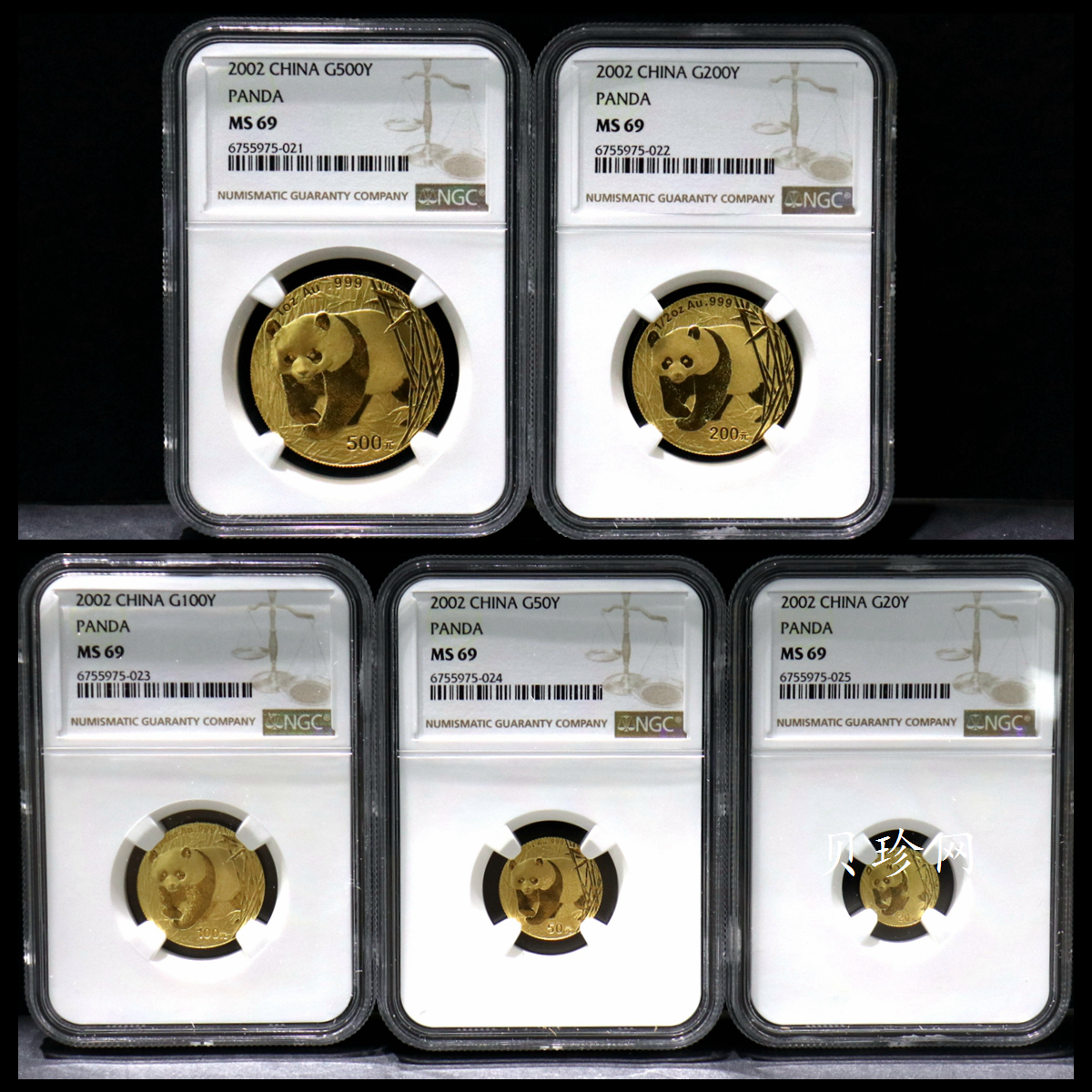 【029080】2002年熊猫普制金币五枚一套