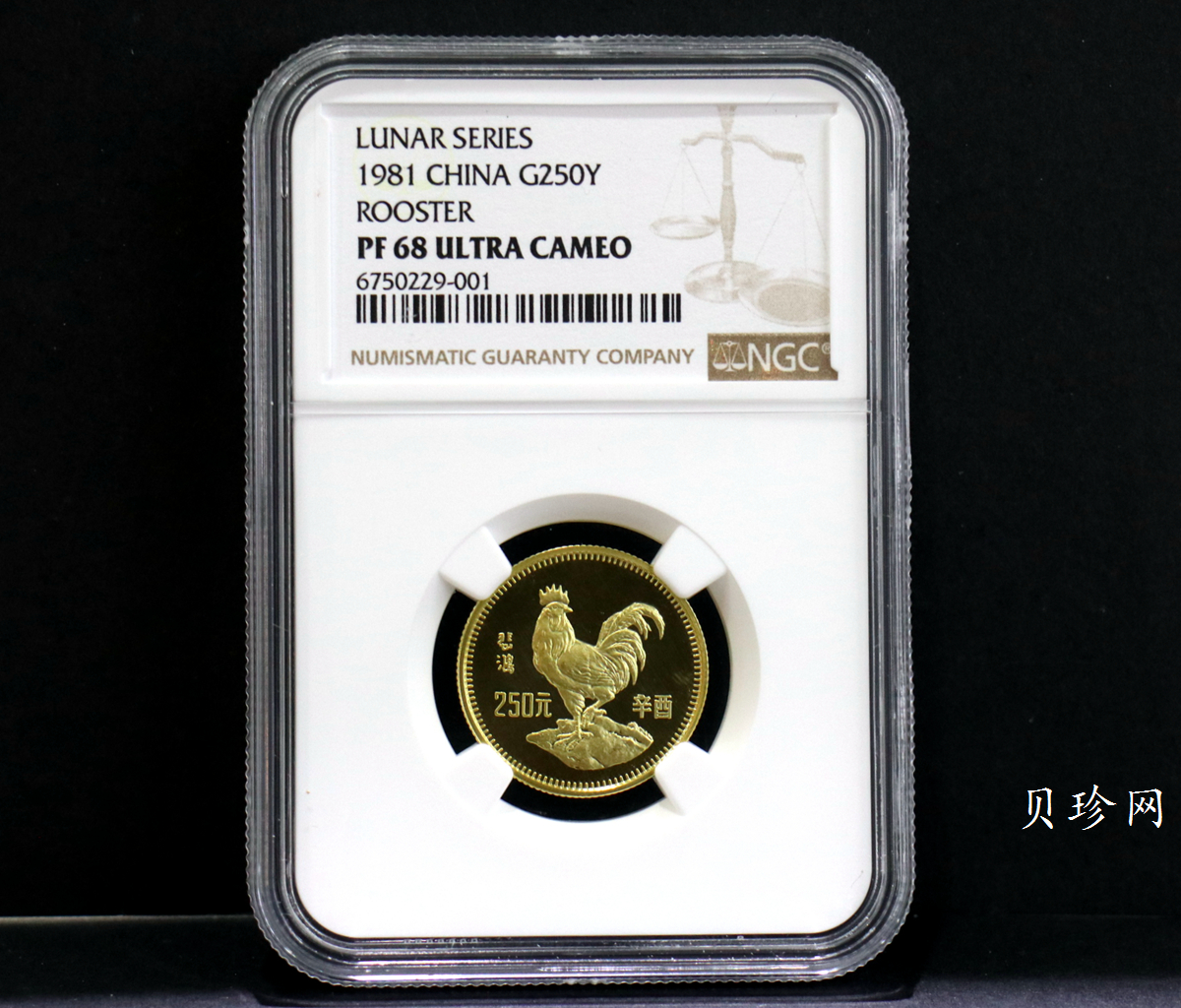 【810101】1981中国辛酉（鸡）年-雄鸡图8克精制金币