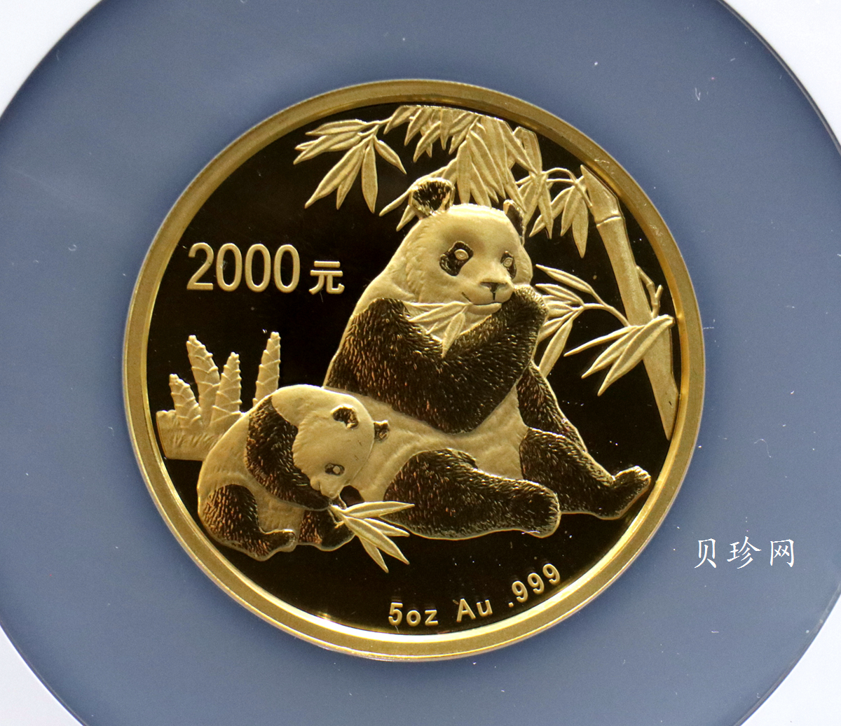 【070106】2007年熊猫5盎司精制金币