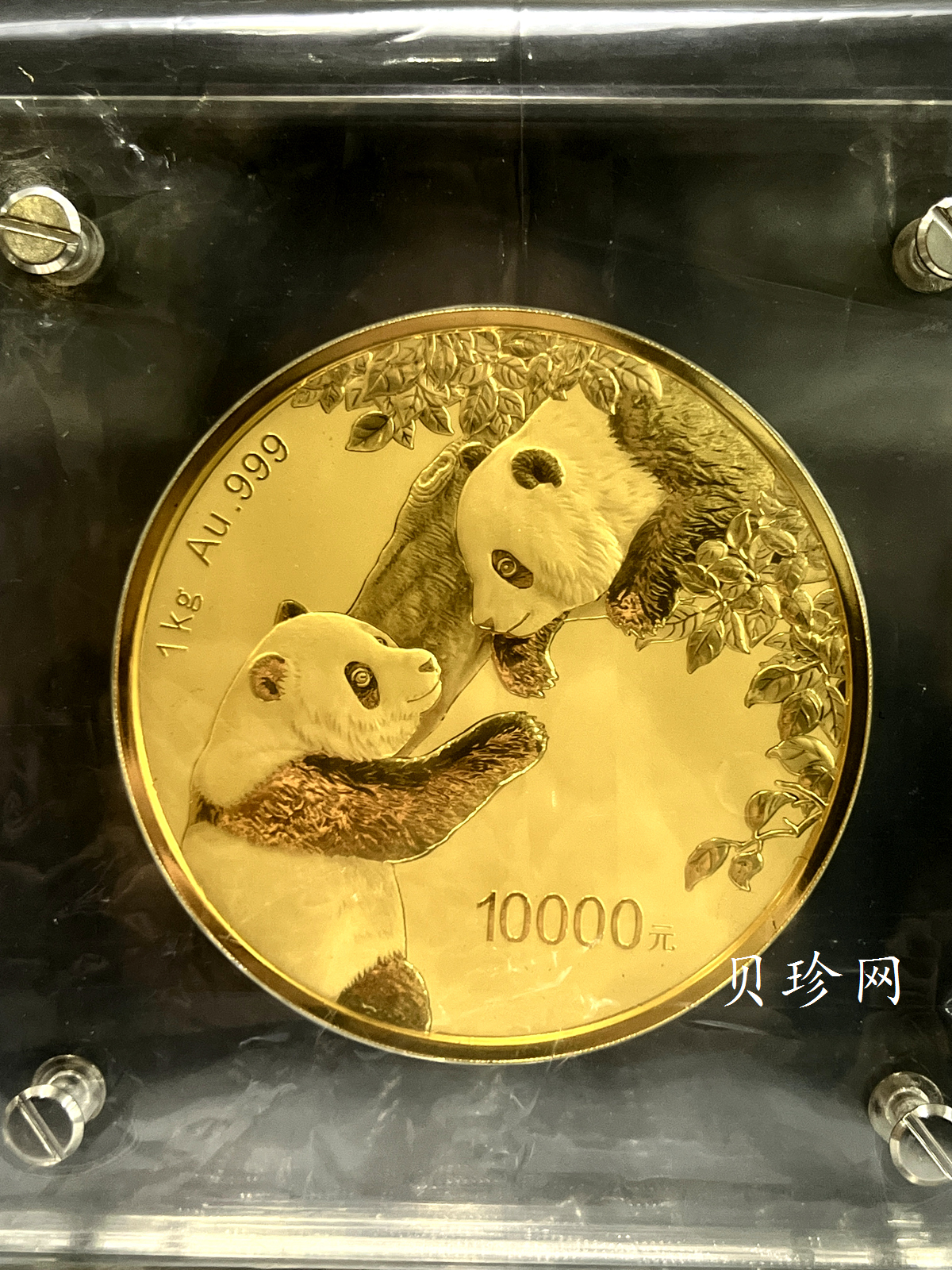 【232301】2023年熊猫1公斤精制金币