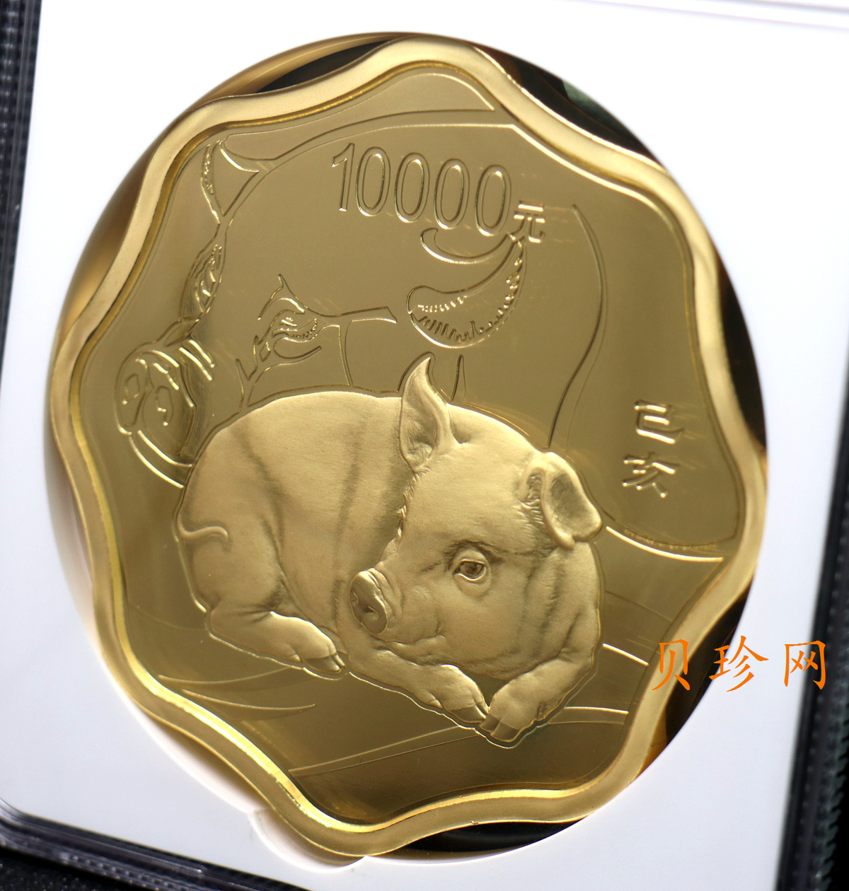 【191121】2019中国己亥（猪）年金银纪念币1公斤圆形银质纪念币