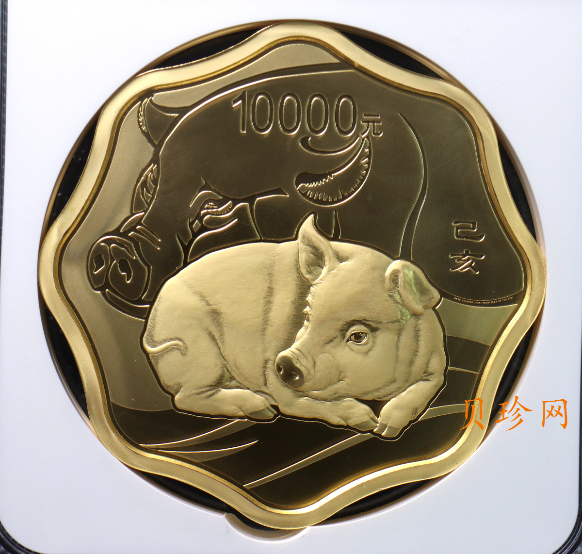 【191121】2019中国己亥（猪）年金银纪念币1公斤圆形银质纪念币