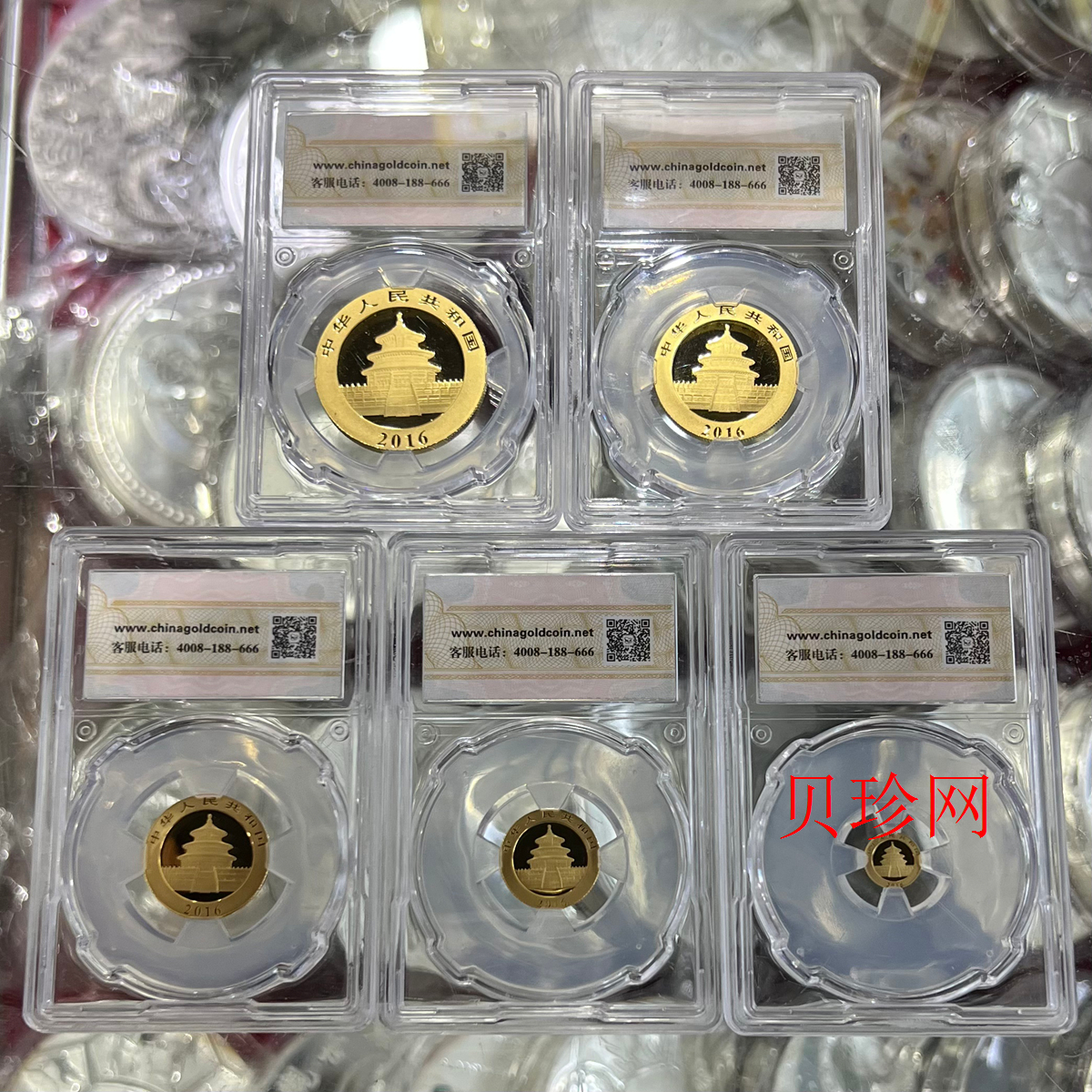 【169170】2016年熊猫普制金币5枚一套