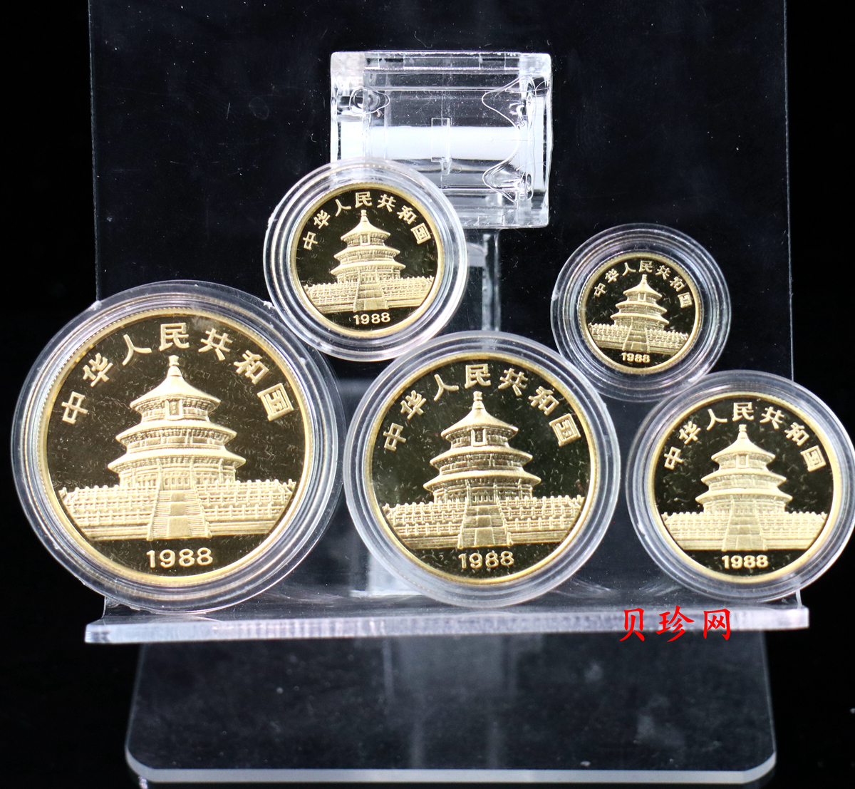 【889010】1988年熊猫普制金币五枚一套
