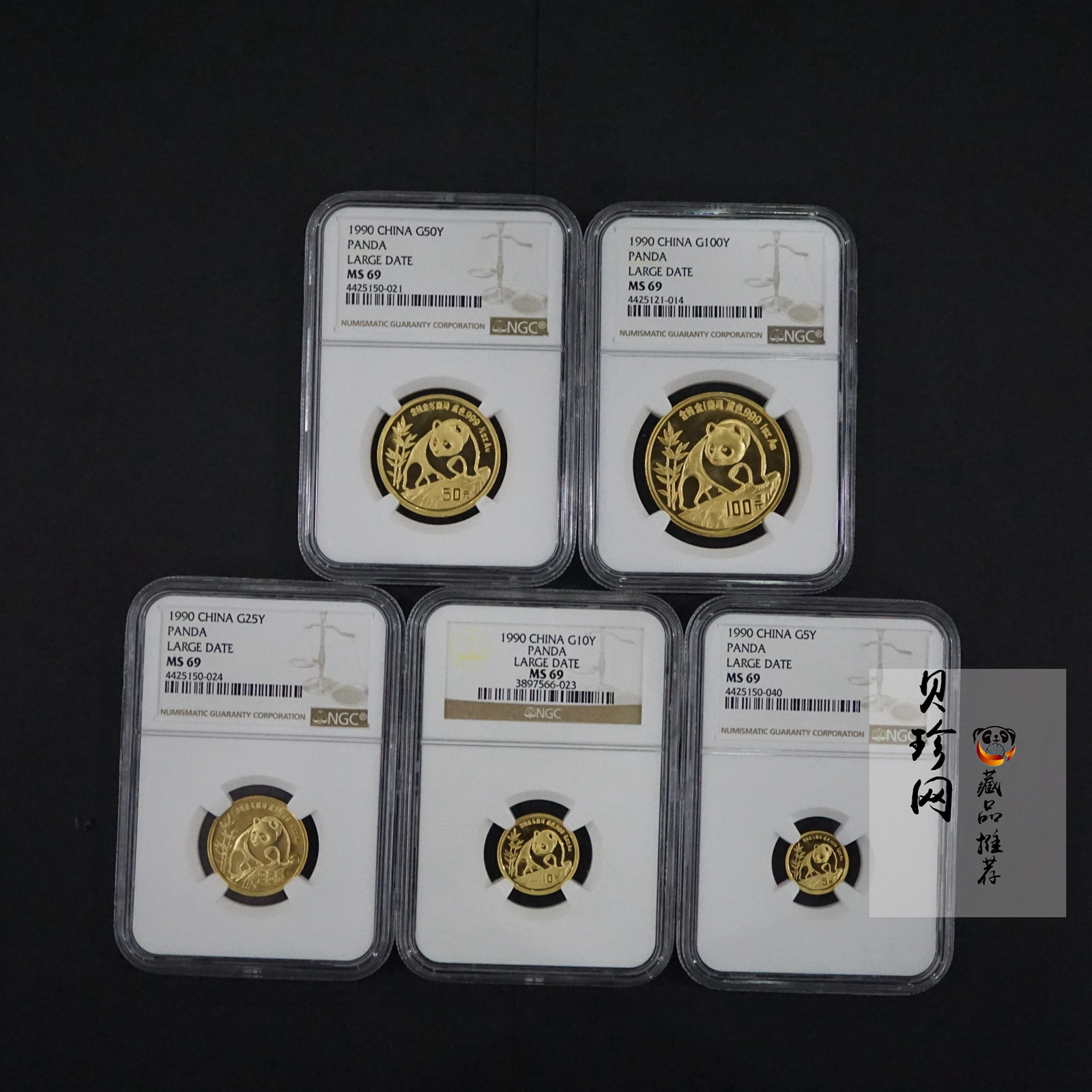【909010】1990版熊猫普制金币五枚一套