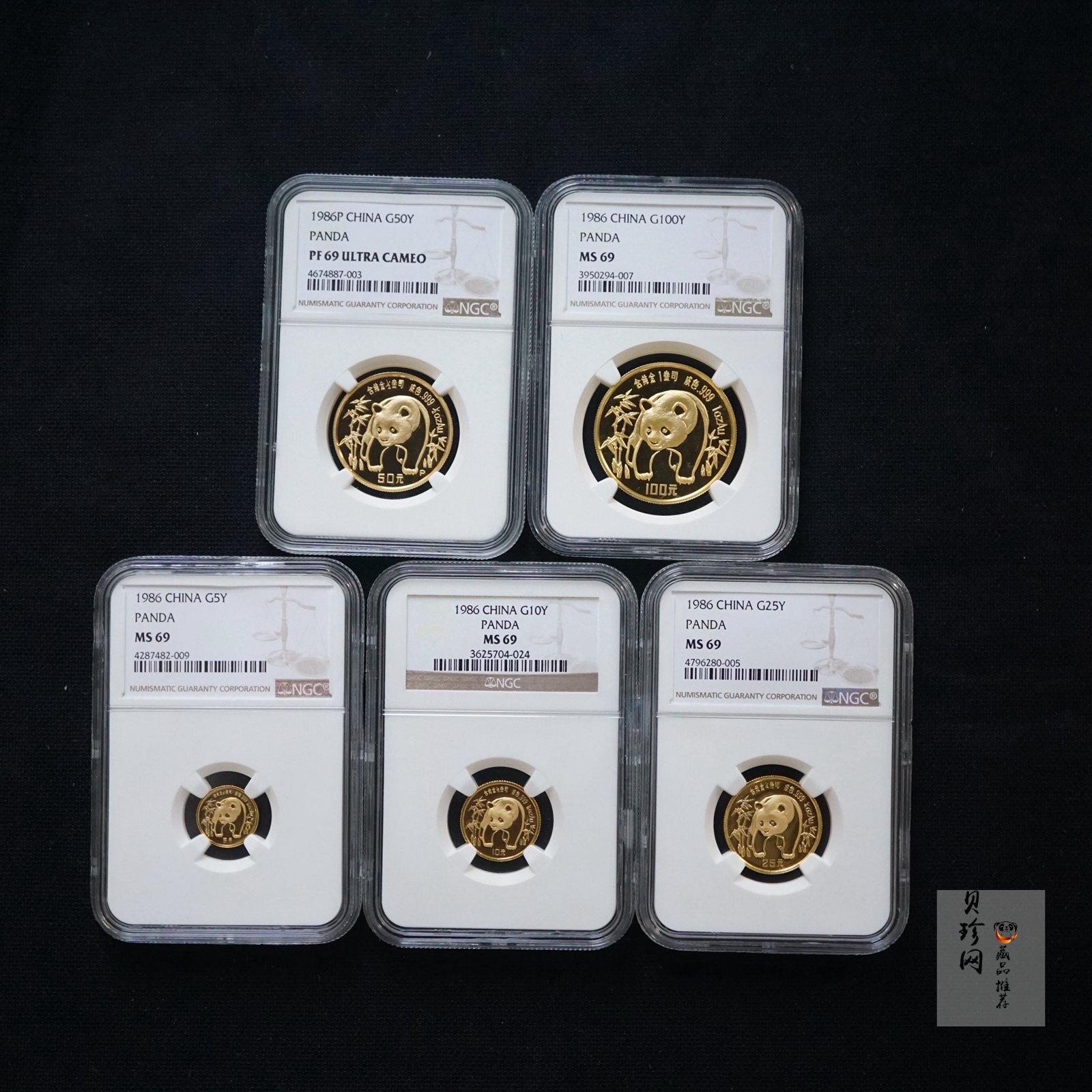 【869010】1986年熊猫普制金币五枚一套