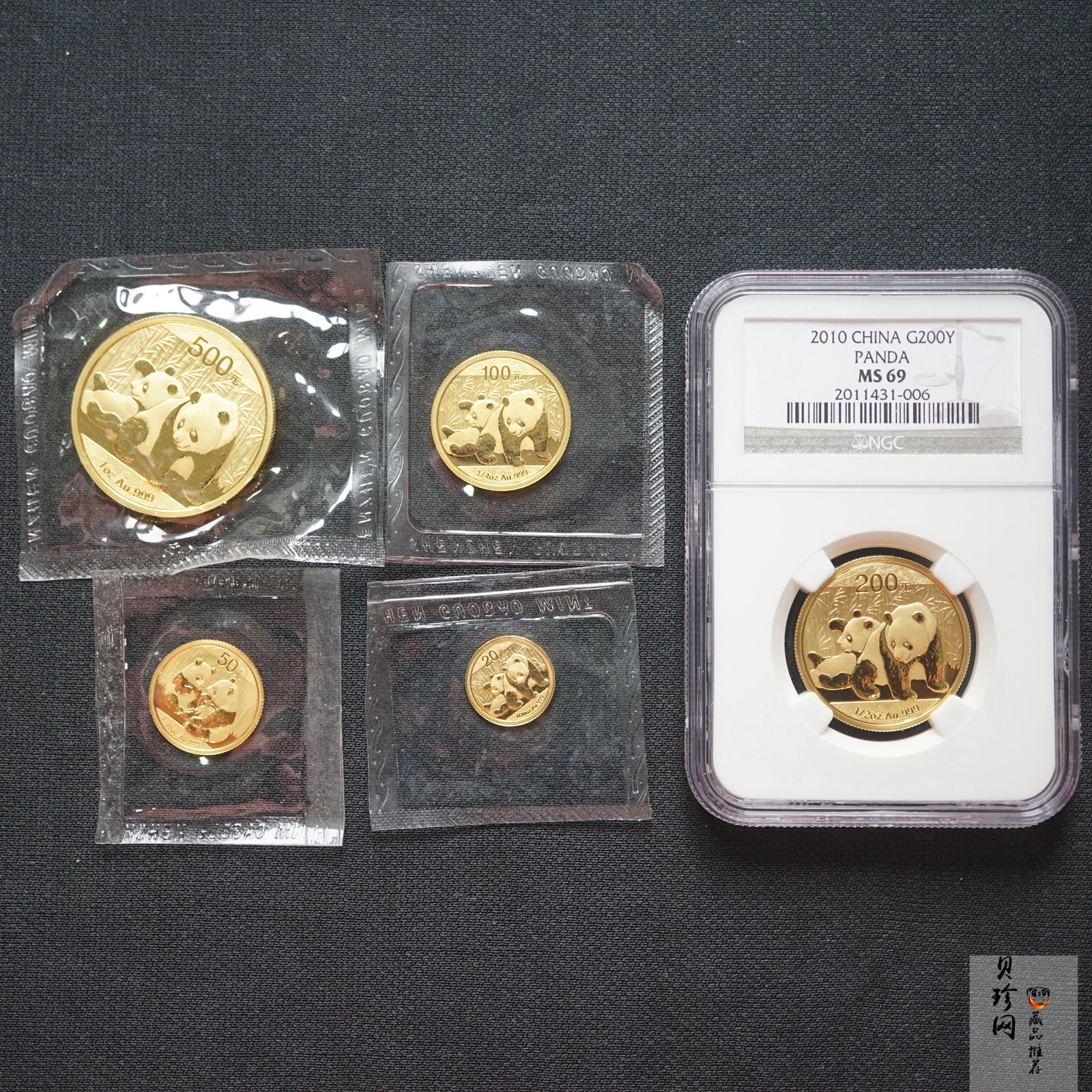 【109050】2010年熊猫普制金币5枚一套