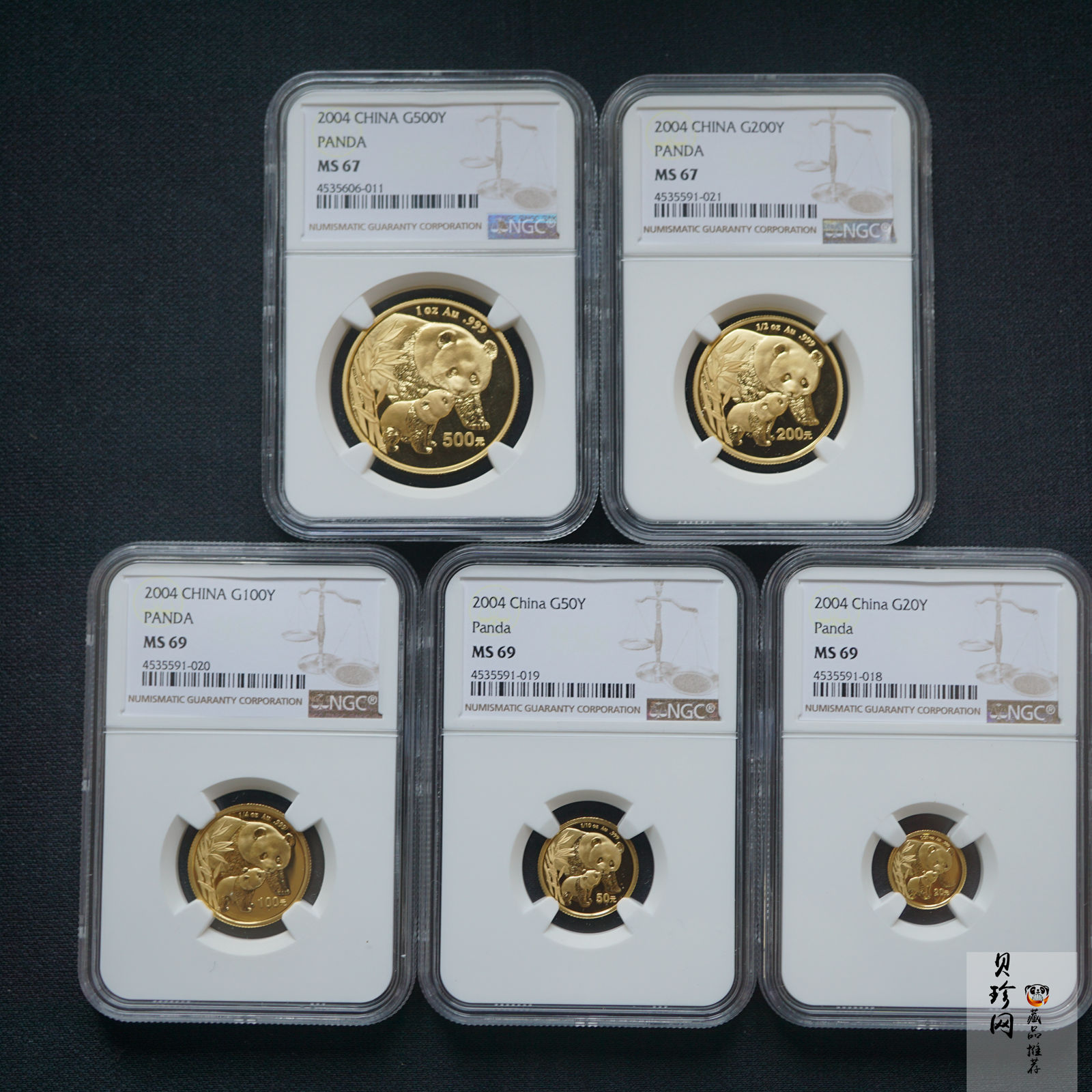 【049110】2004年熊猫普制金币5枚一套