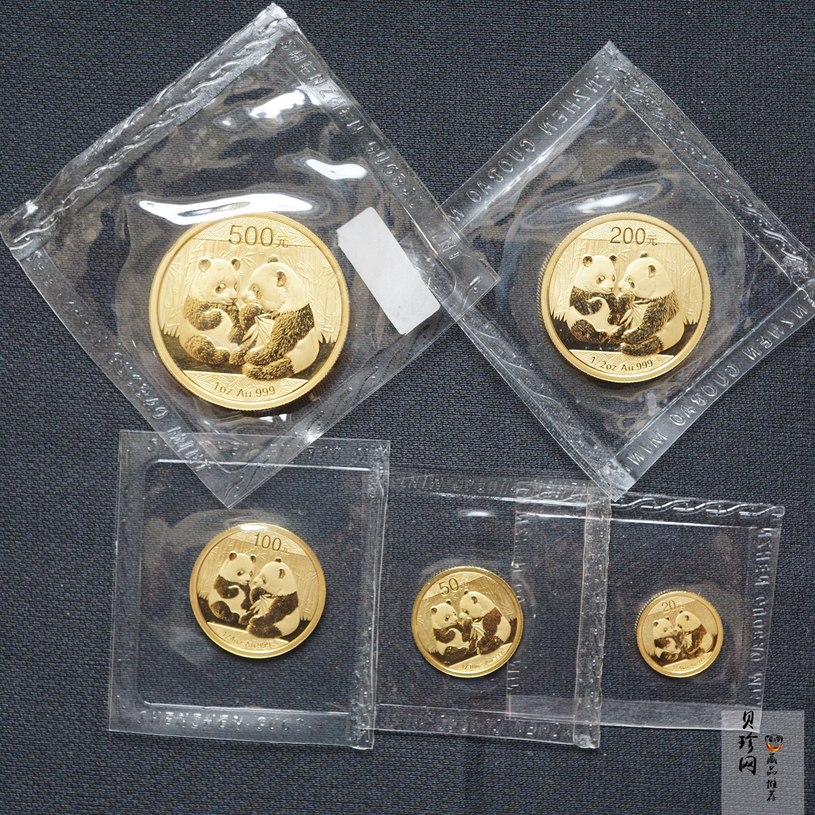 【099050】2009年熊猫普制金币5枚一套