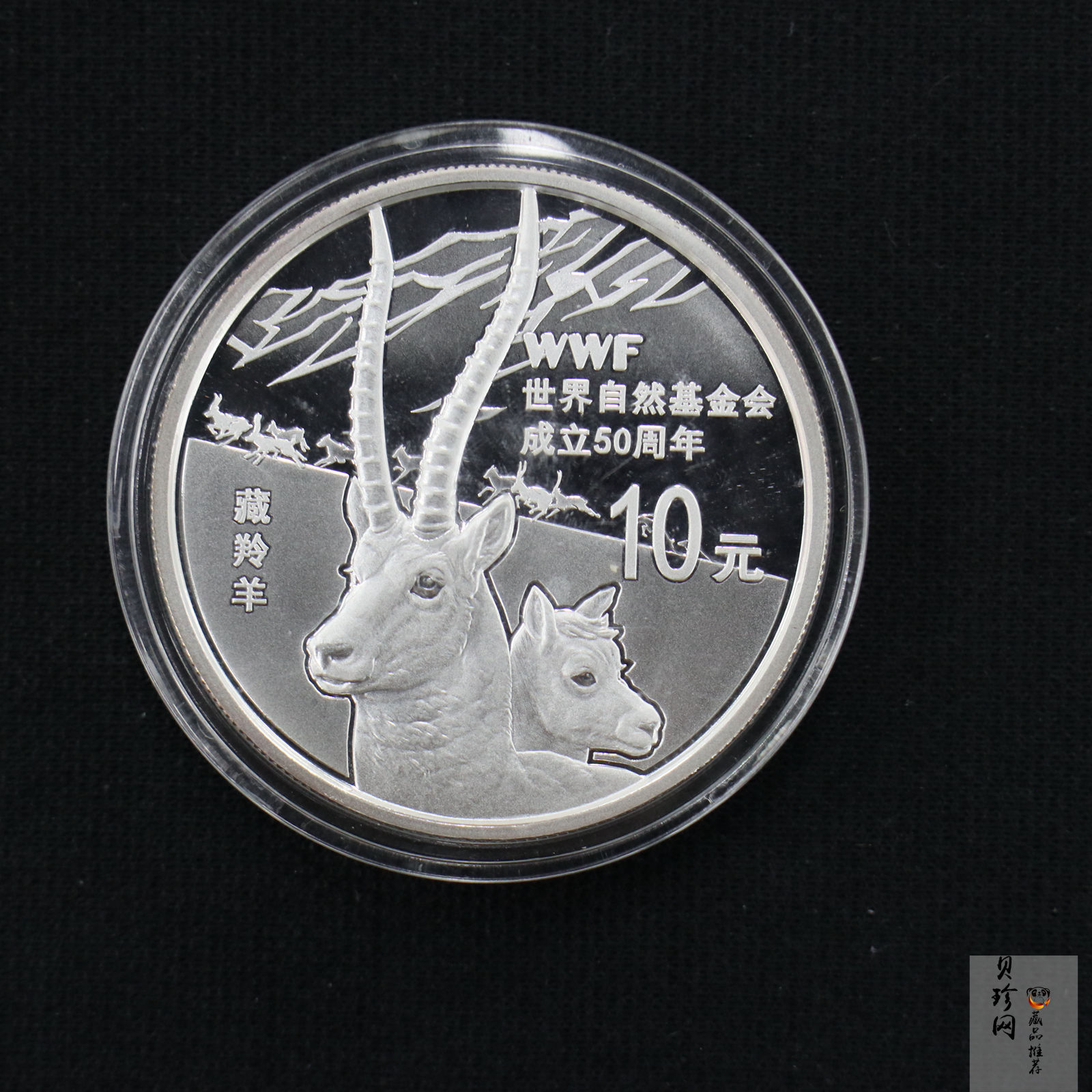 【110702】2011年世界自然基金会成立50周年1盎司精制银币