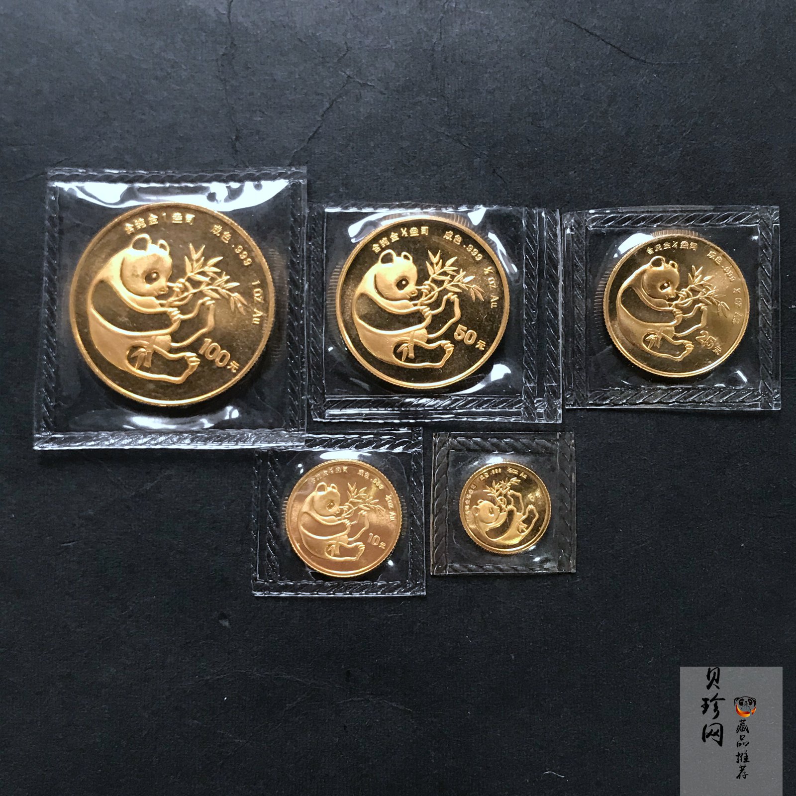 【849040】1984年熊猫普制金币五枚一套