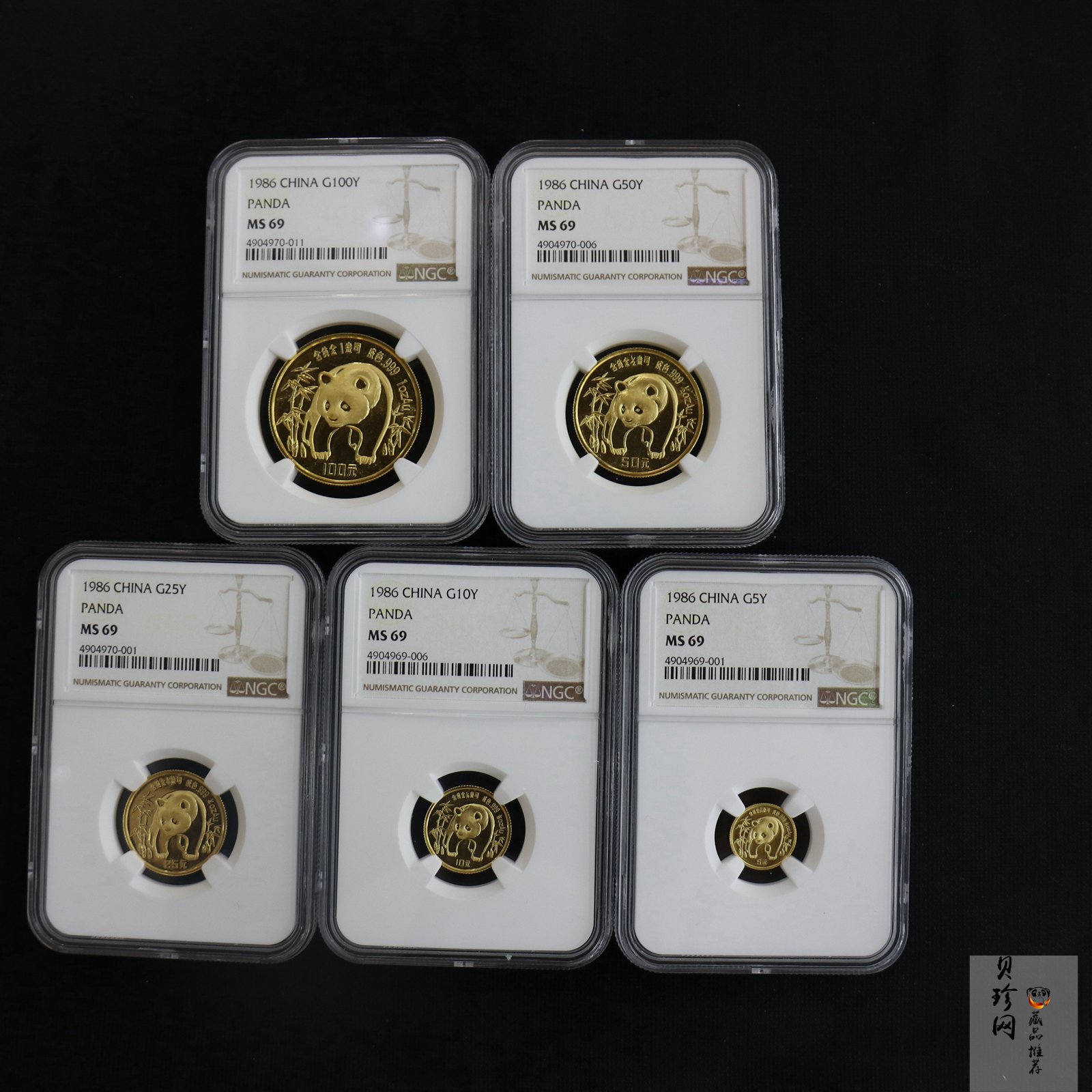 【869010】1986年熊猫普制金币五枚一套