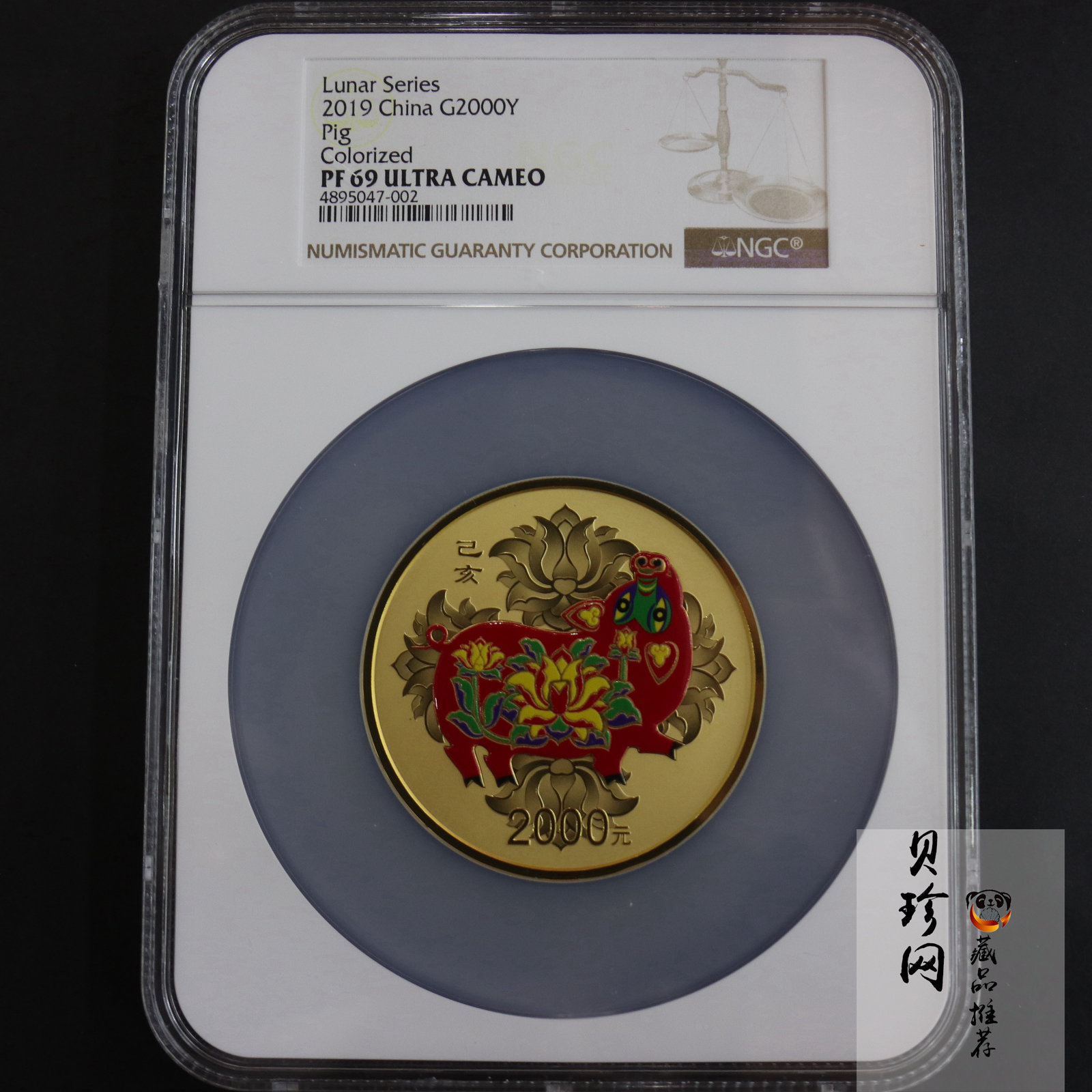 【190020】2019中国己亥（猪）年金银纪念币150克圆形彩色金币