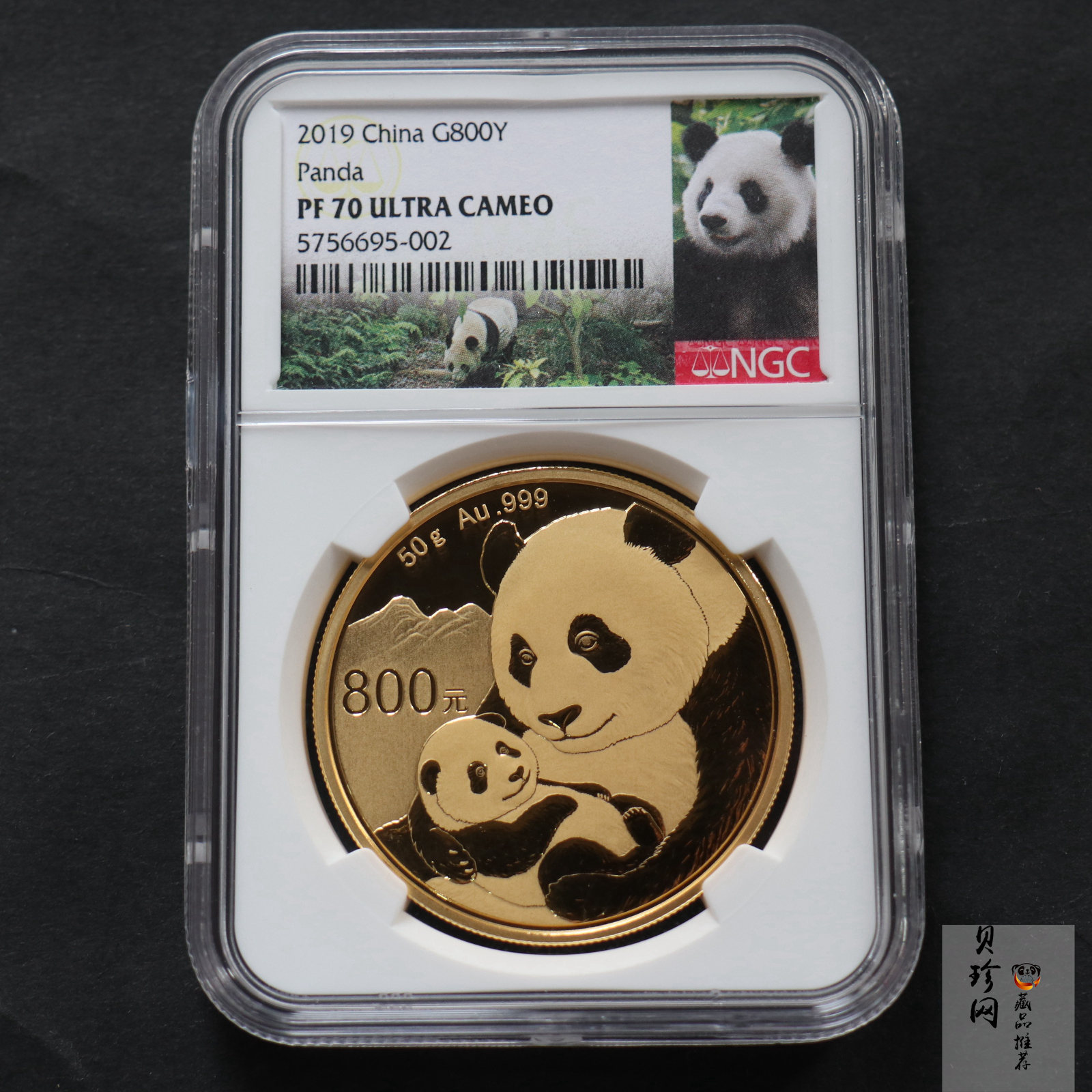 【190106】2019年熊猫50克圆形精制纪念金币