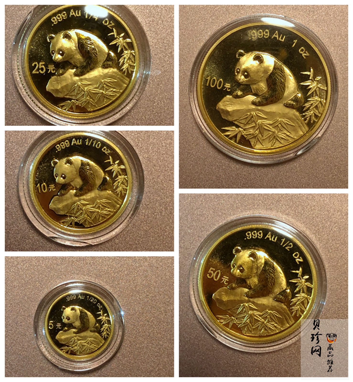 【999220】1999年熊猫普制金币五枚一套