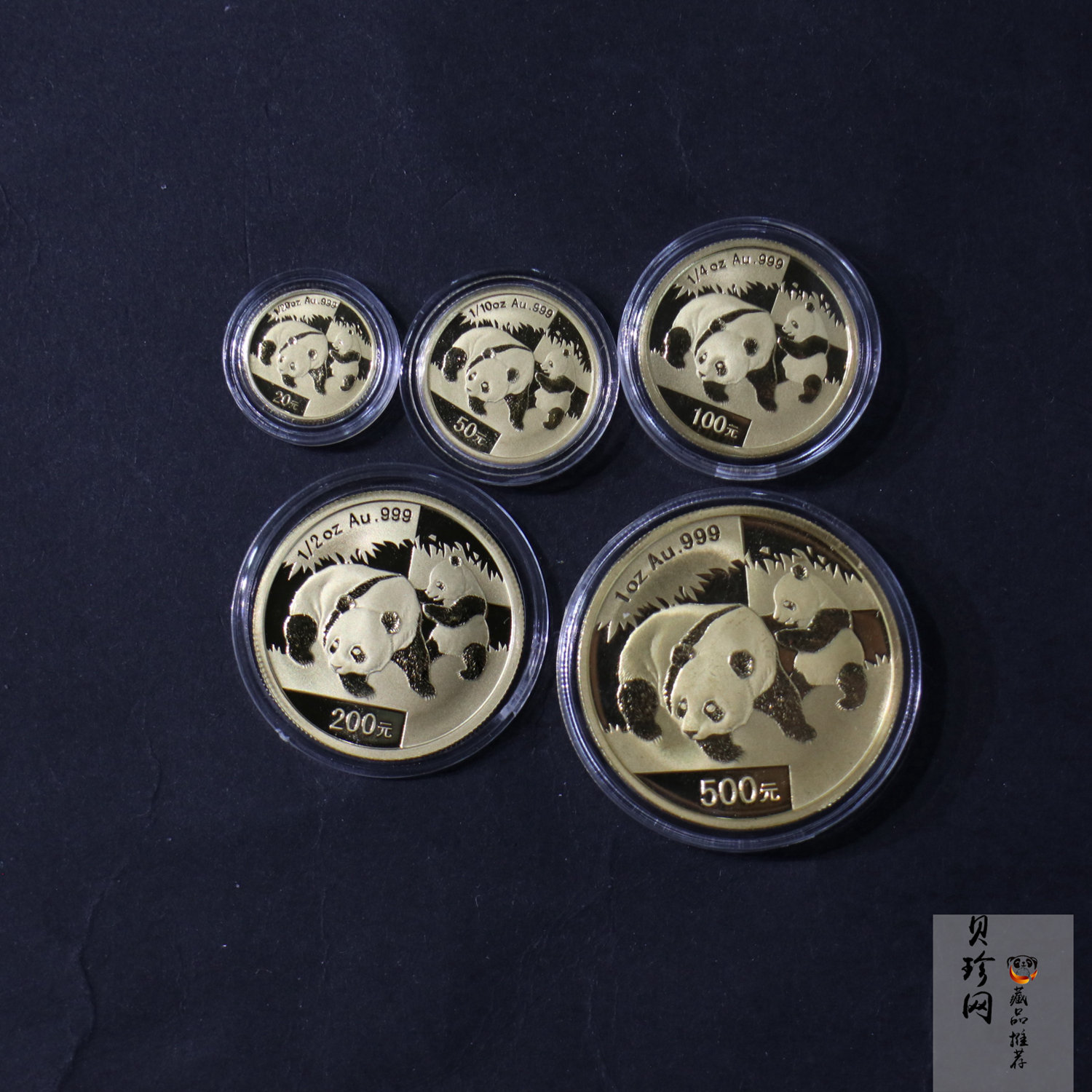 【089050】2008年熊猫普制金币5枚一套