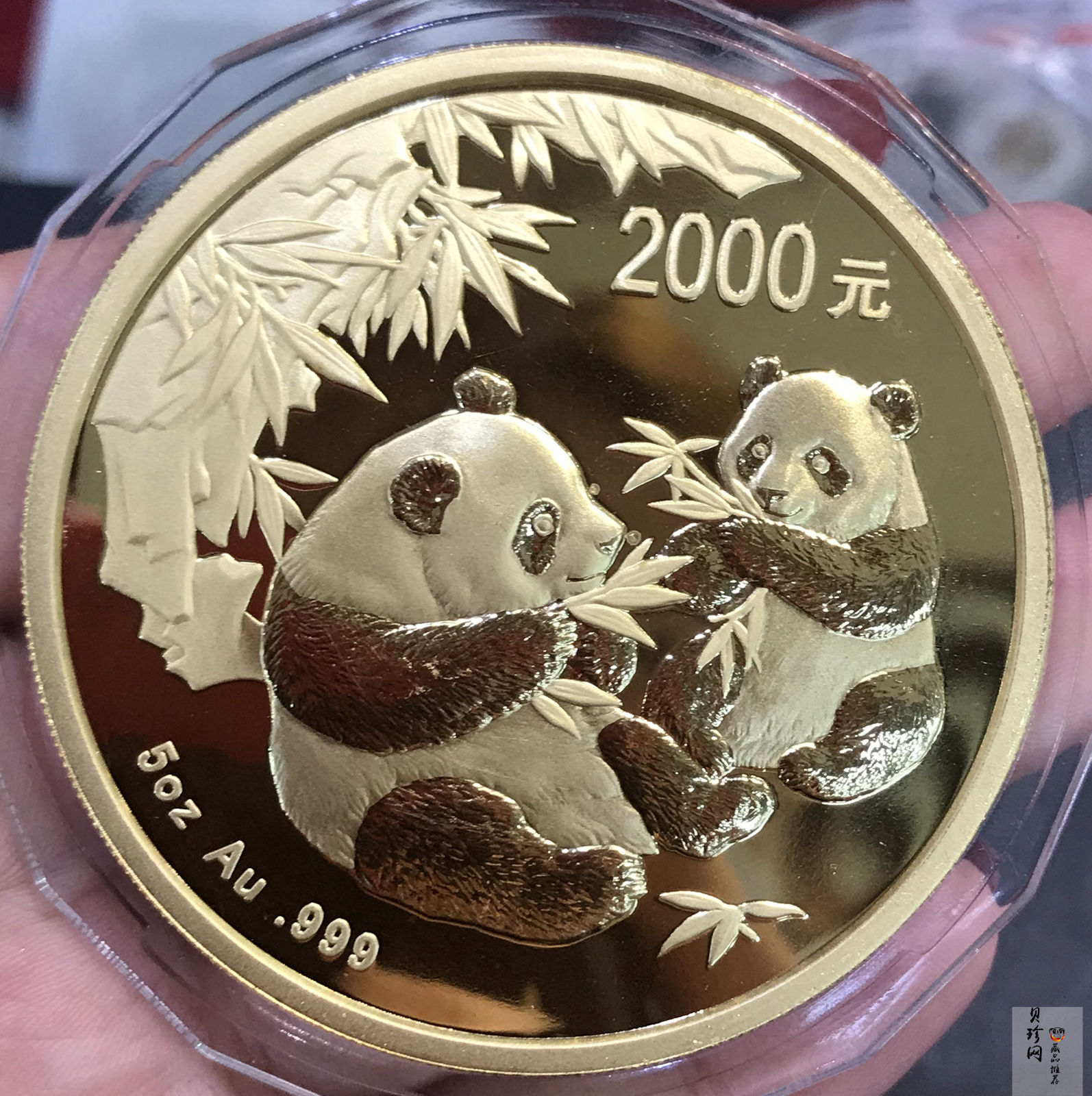 【060107】2006年熊猫5盎司精制金币