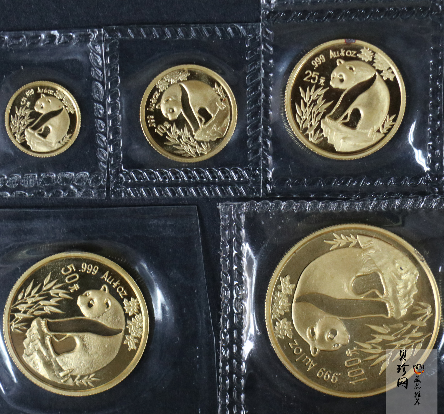 【939010】1993年熊猫普制金币五枚一套