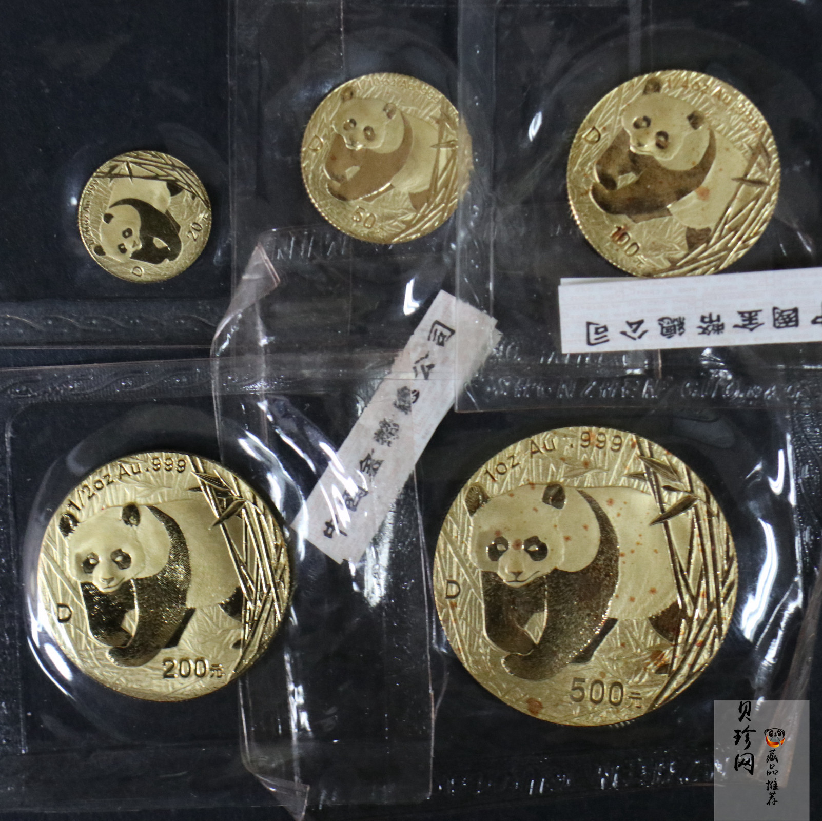 【019080】2001年熊猫普制金币五枚一套