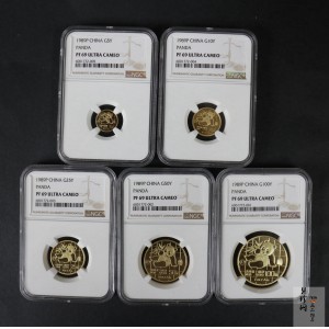 【899020】1989版熊猫精制金币五枚一套