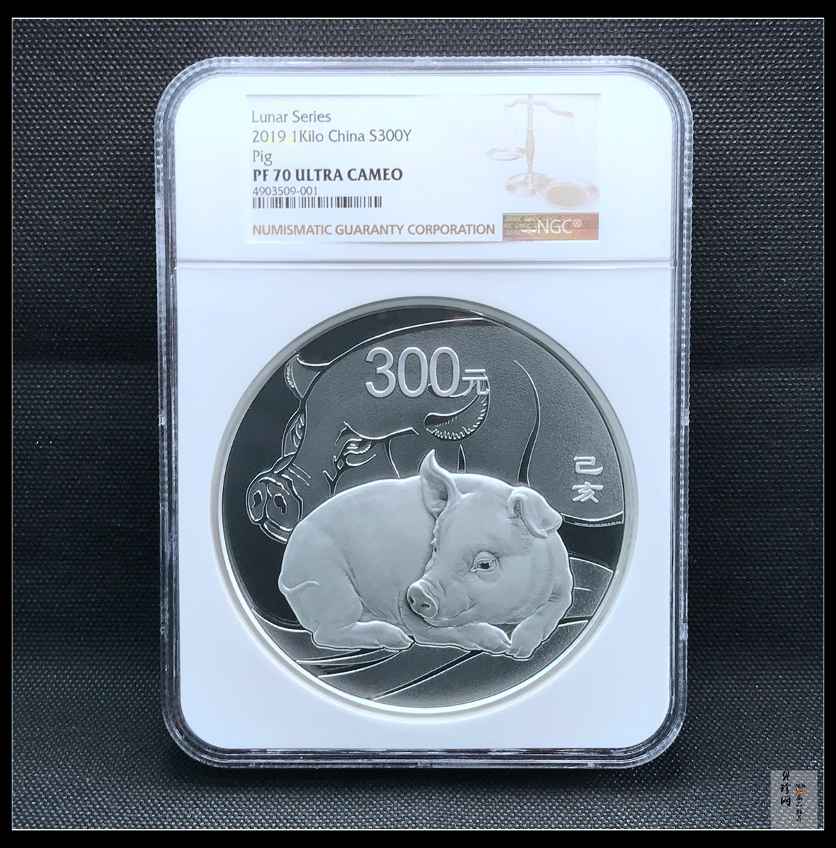 【191115】2019中国己亥（猪）年金银纪念币1公斤圆形银币