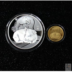 【199040】2019中国己亥（猪）年生肖精制金银币2枚一套
