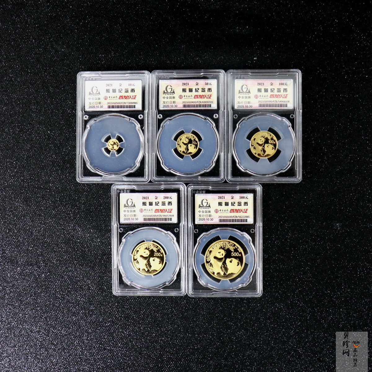 【219150】2021年熊猫普制金币5枚一套