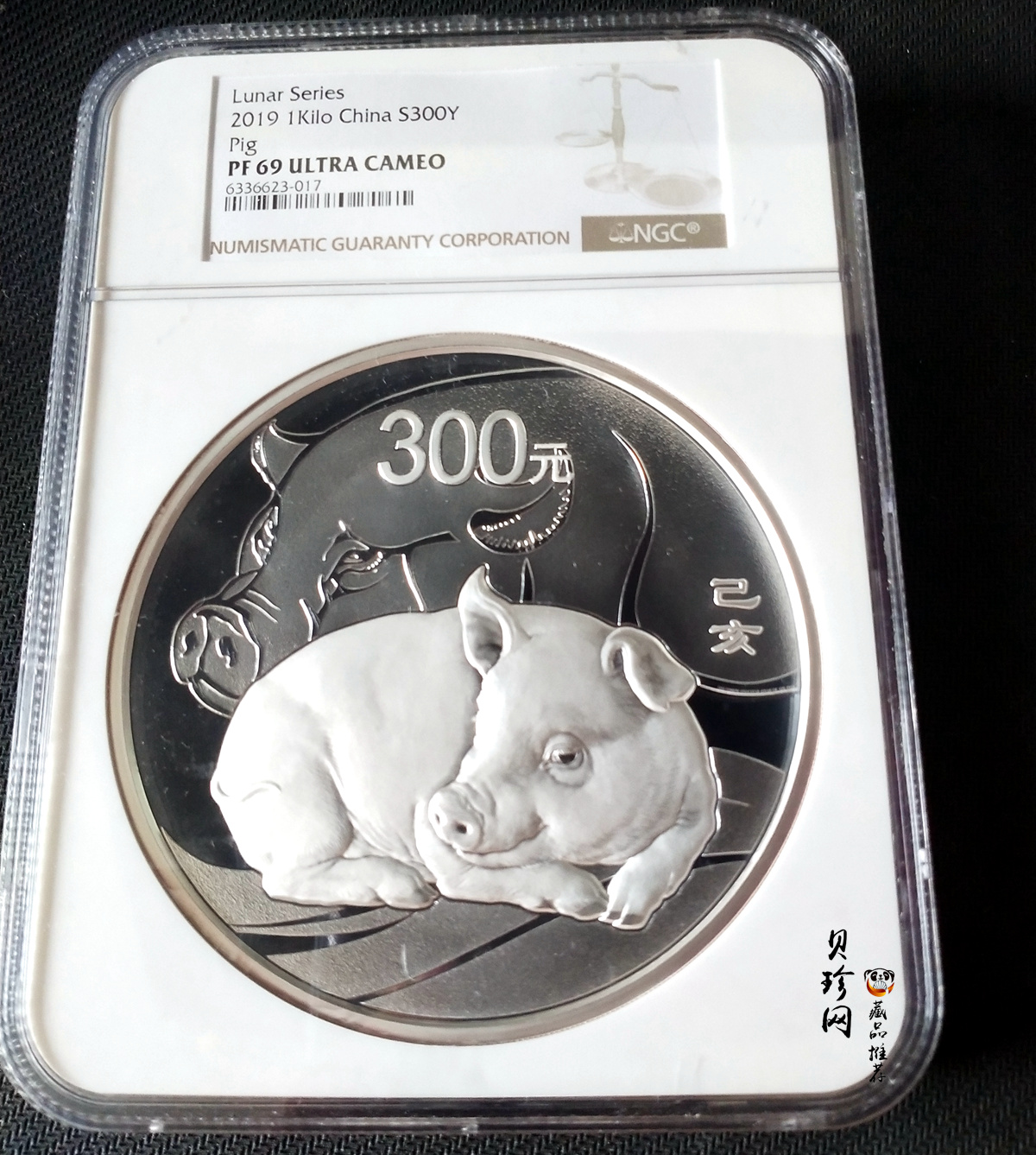 【191115】2019中国己亥（猪）年金银纪念币1公斤圆形银币