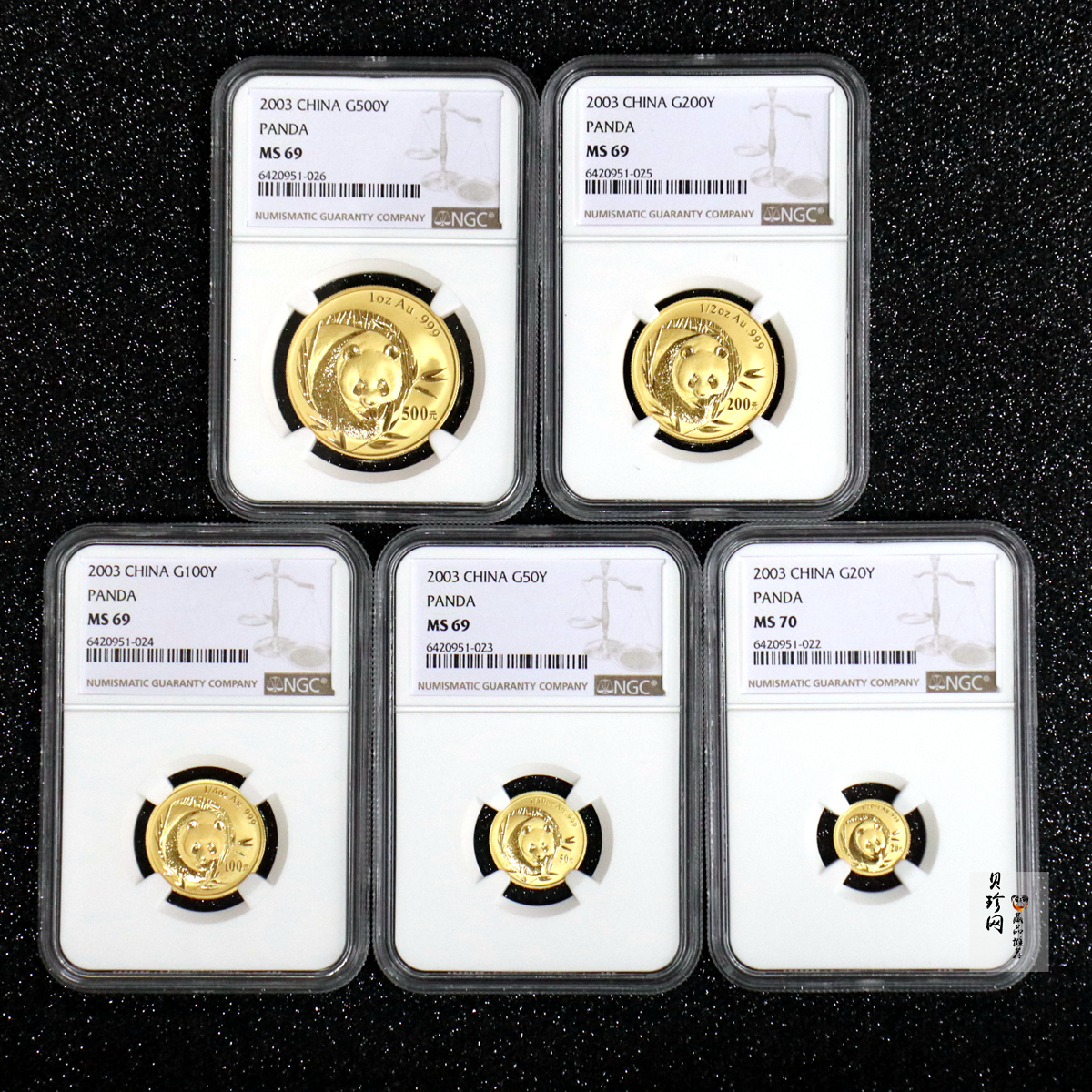 【039080】2003年熊猫金币五枚一套