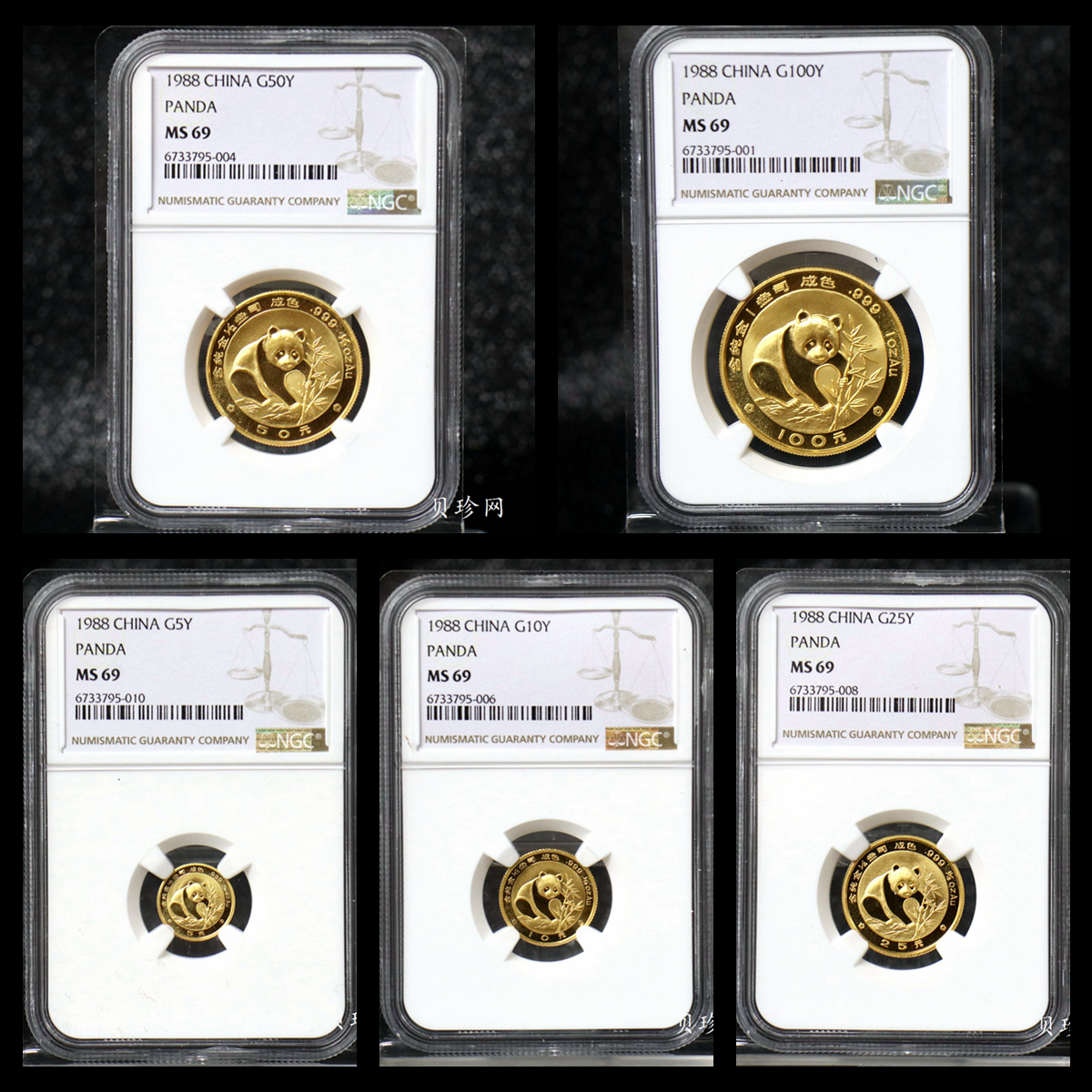 【889010】1988年熊猫普制金币五枚一套