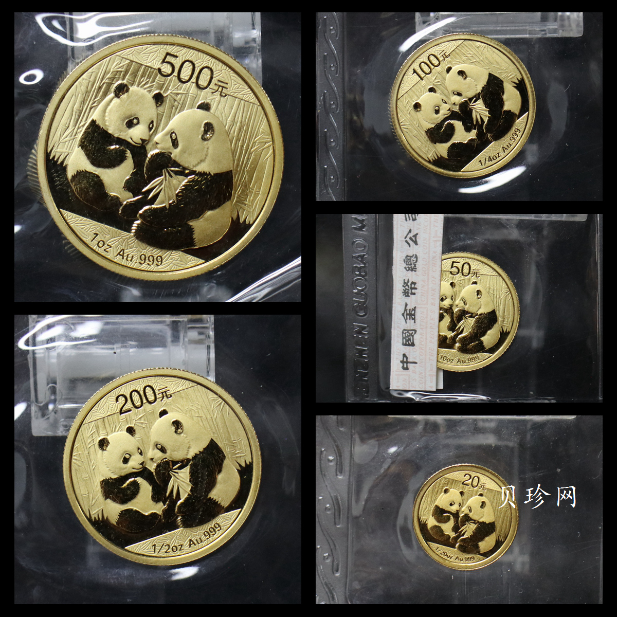 【099050】2009年熊猫普制金币5枚一套