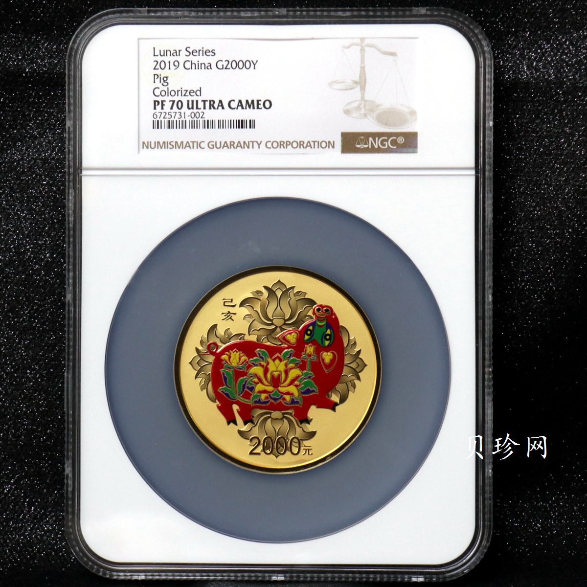 【190020】2019中国己亥（猪）年金银纪念币150克圆形彩色金币