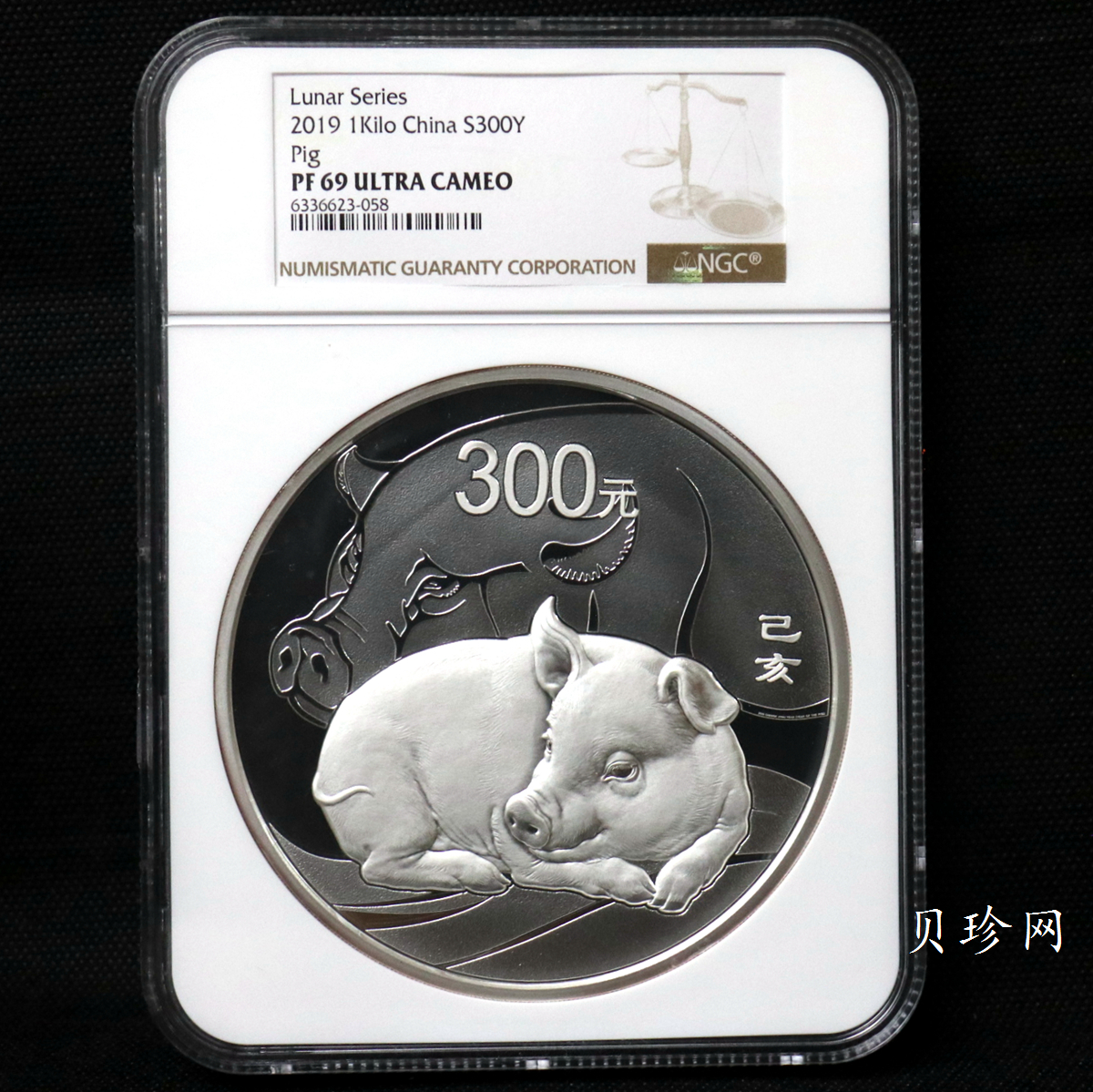 【194712】2019年中国己亥（猪）年金银纪念币1公斤圆形银币