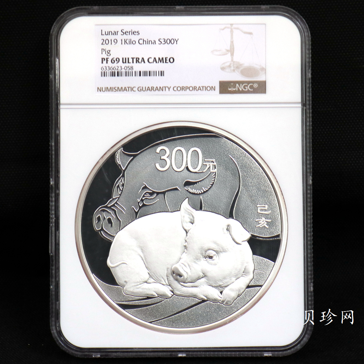 【191115】2019中国己亥（猪）年金银纪念币1公斤圆形银币