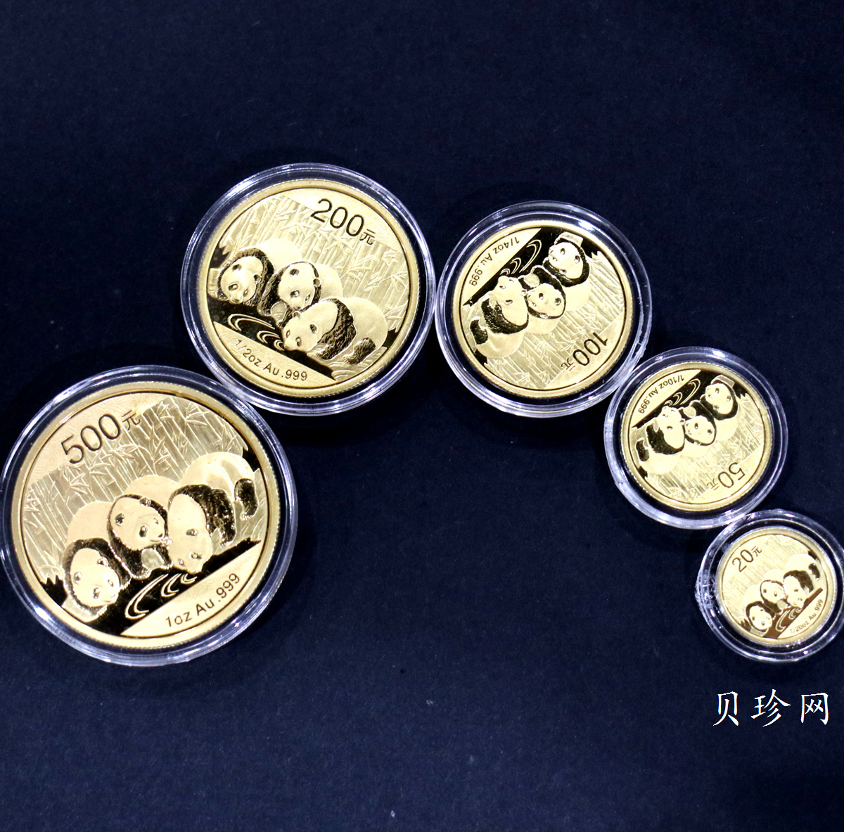 【139050】2013年熊猫普制金币5枚一套 