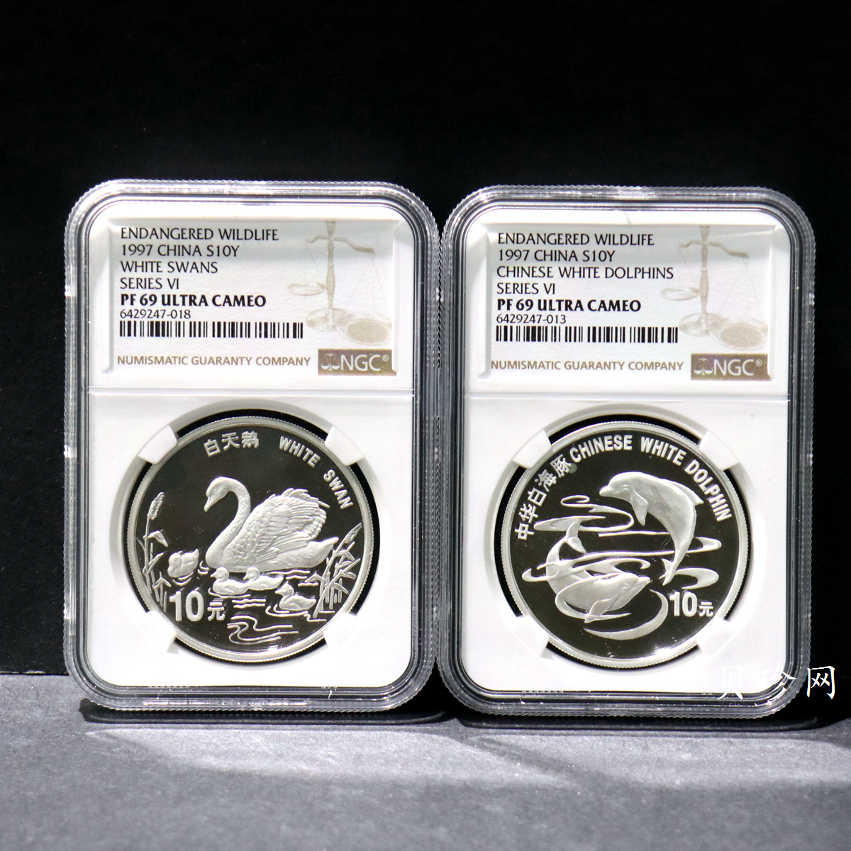 【979700】1997年珍稀动物银币（第5组）-中华白海豚 白天鹅 1盎司银套币
