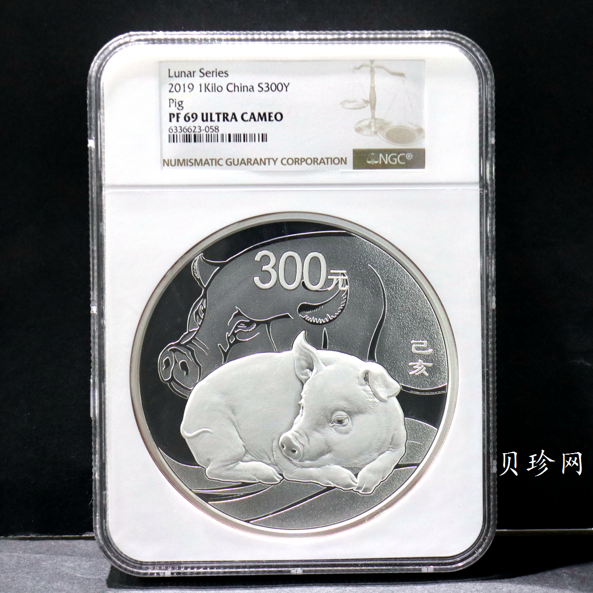 【191115】2019中国己亥（猪）年金银纪念币1公斤圆形银币