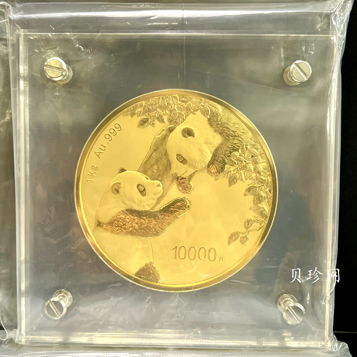 【232301】2023年熊猫1公斤精制金币